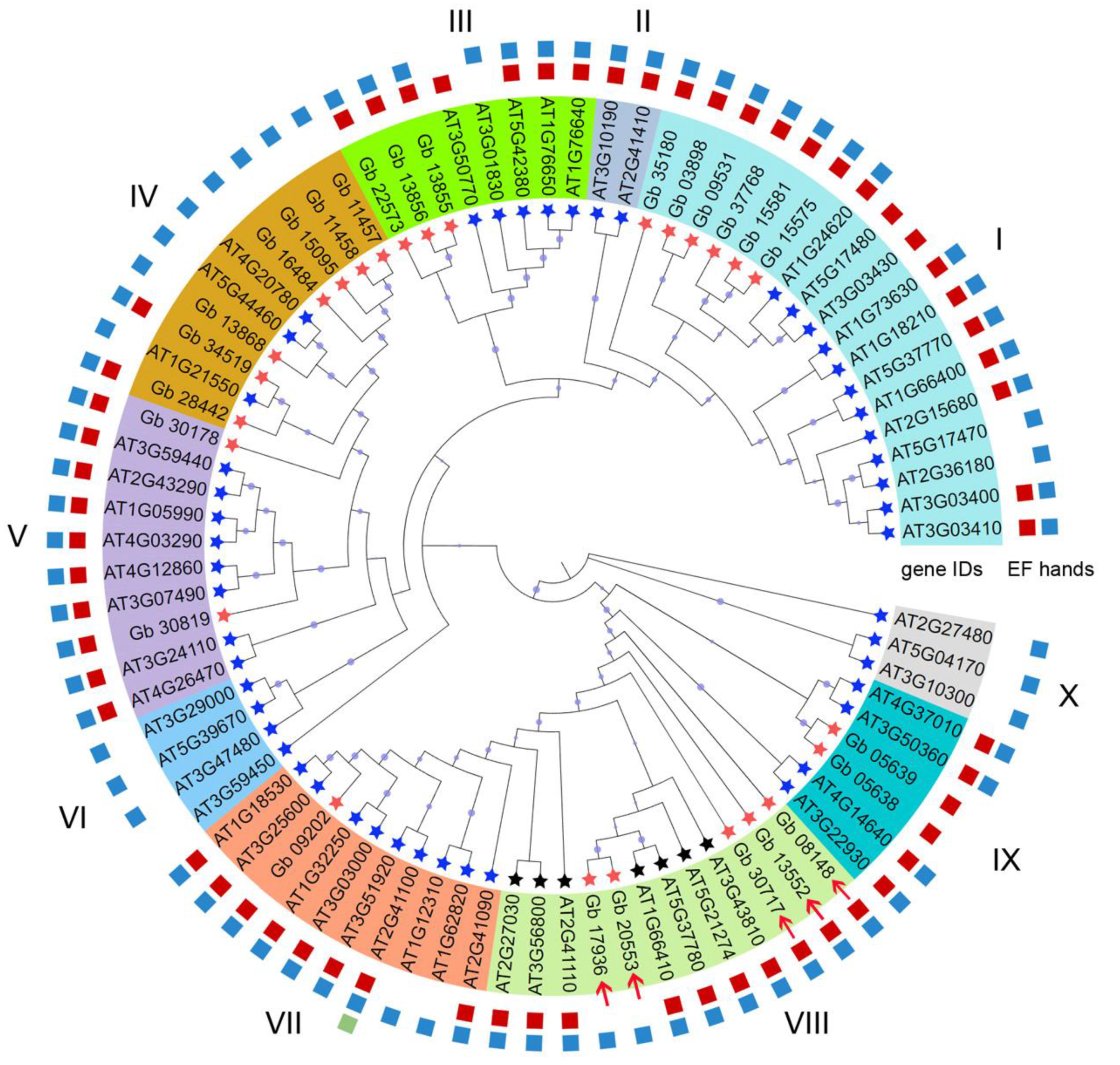 Plants 11 01506 g002