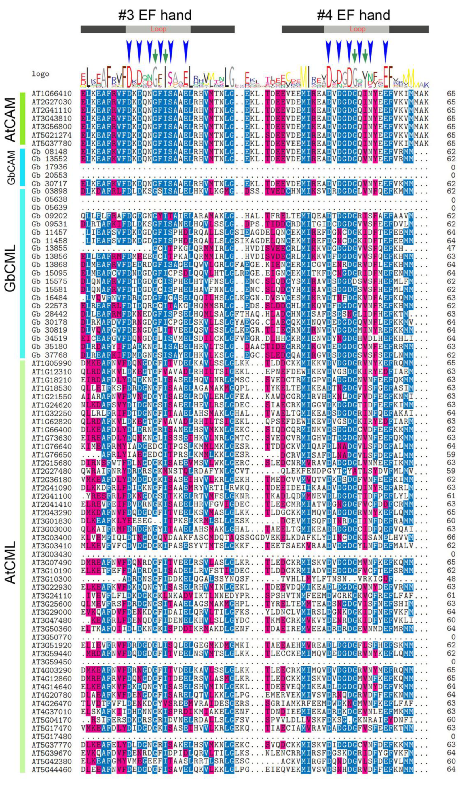 Plants 11 01506 g004