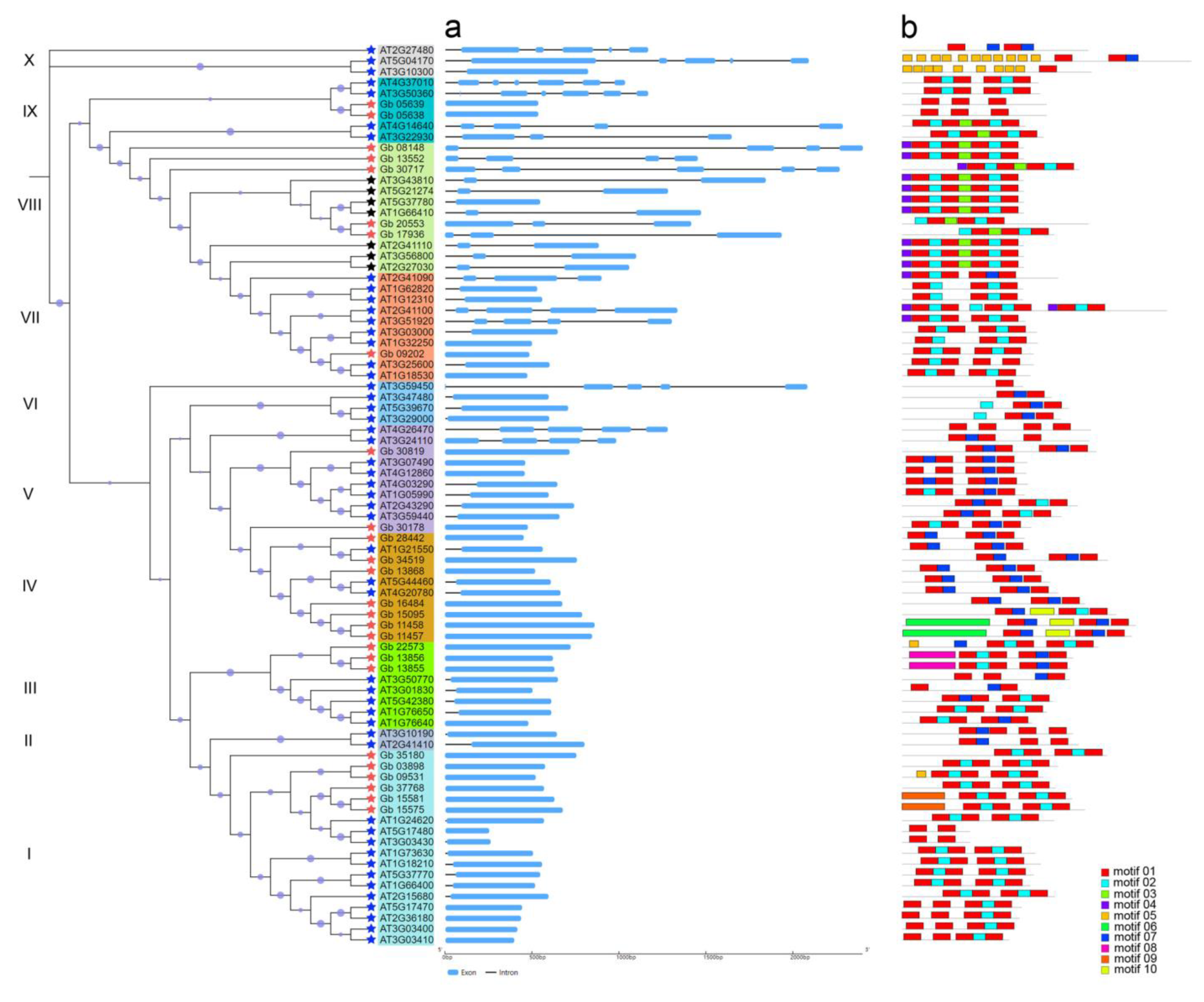 Plants 11 01506 g005
