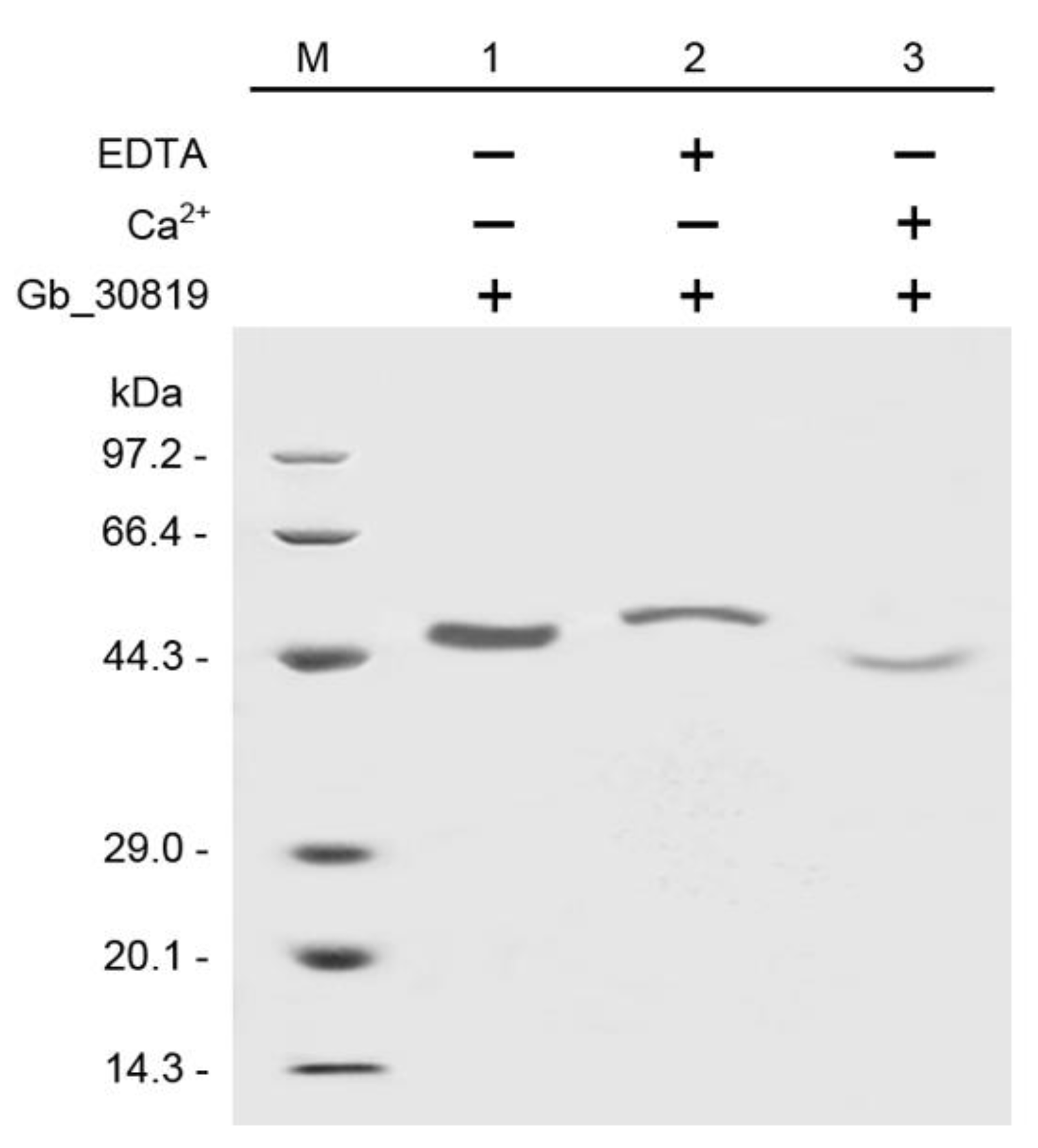Plants 11 01506 g010