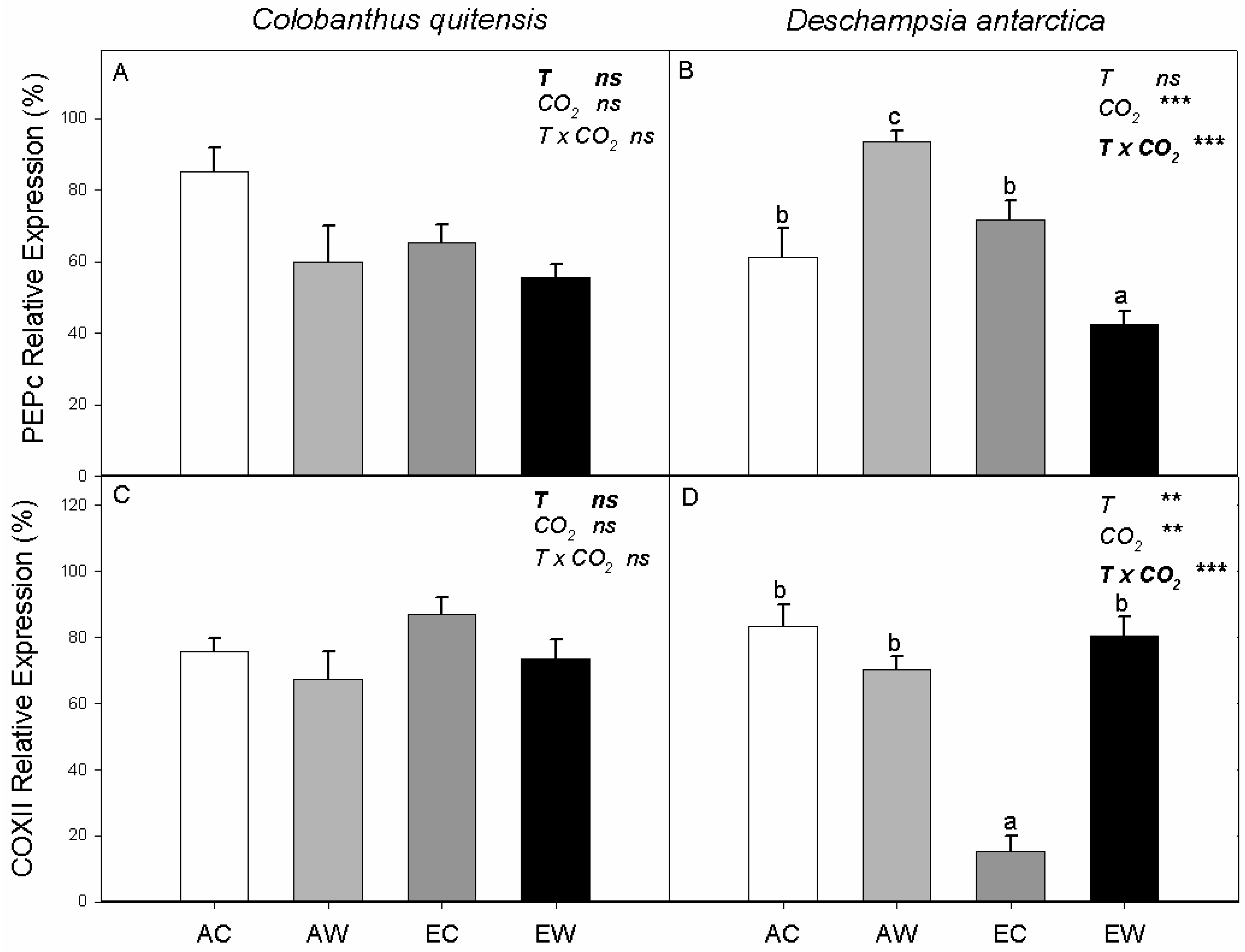 Plants 11 01520 g004 Plants 11 01520 g004