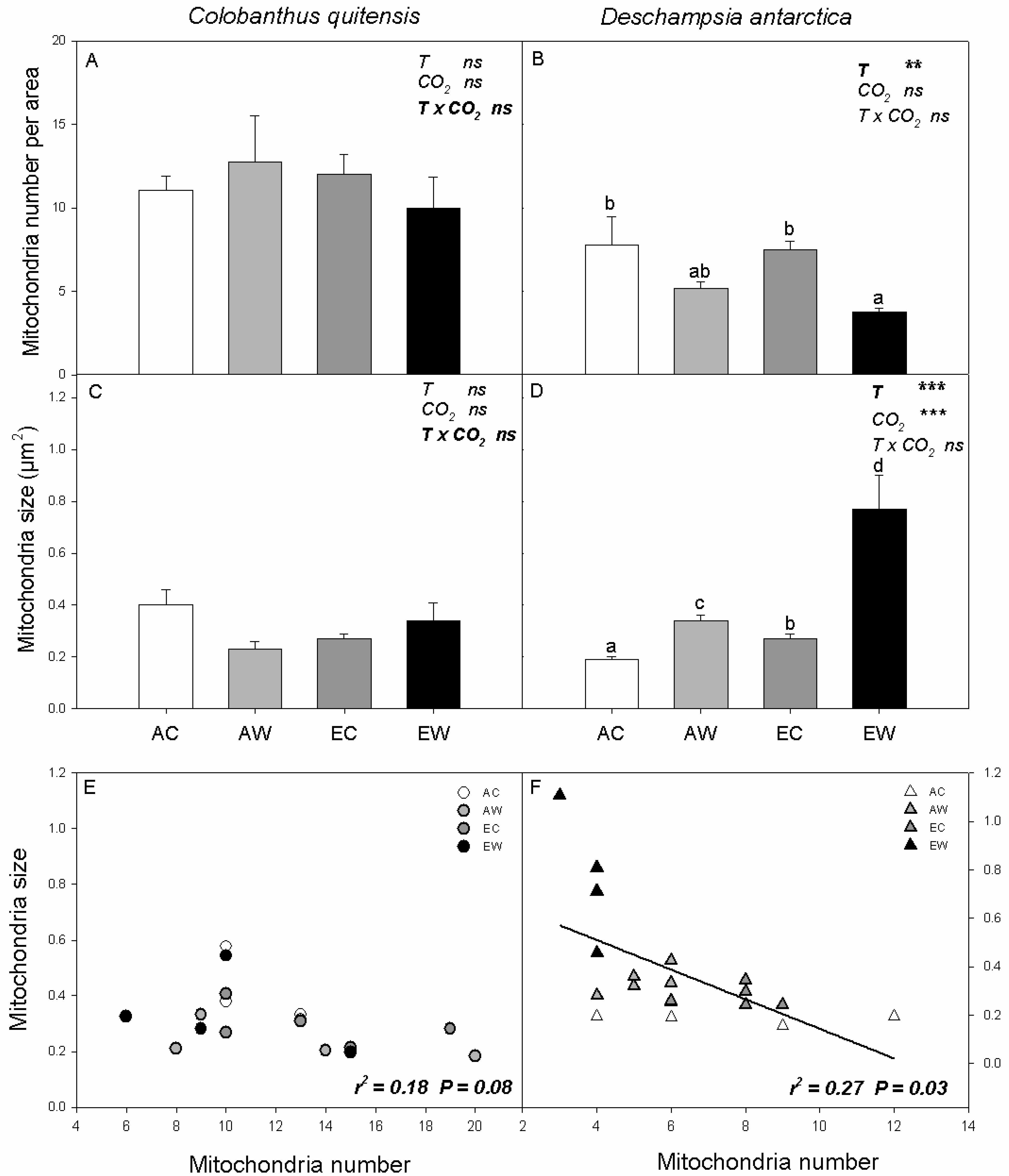 Plants 11 01520 g005 Plants 11 01520 g005