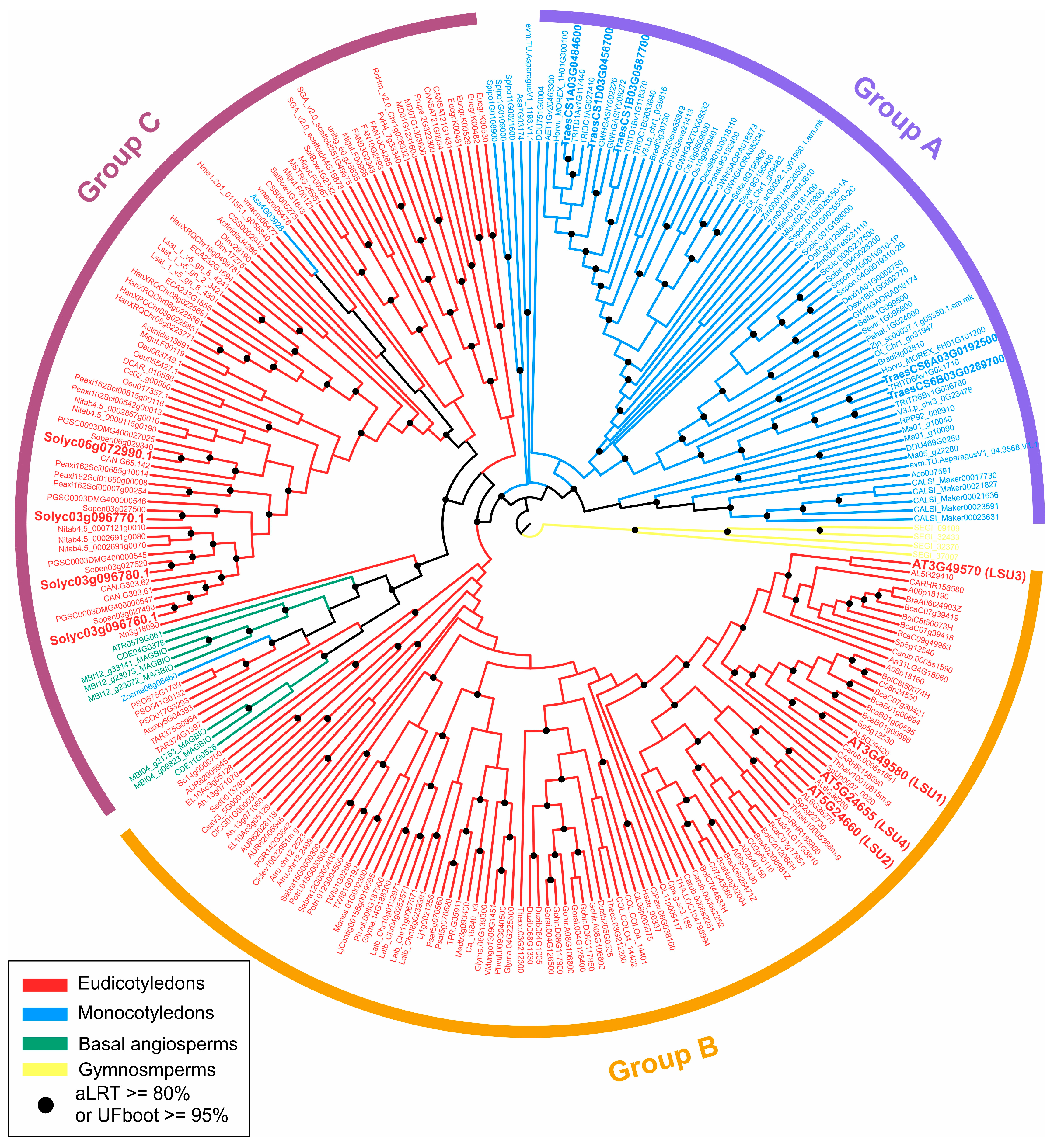 Plants 11 01526 g002