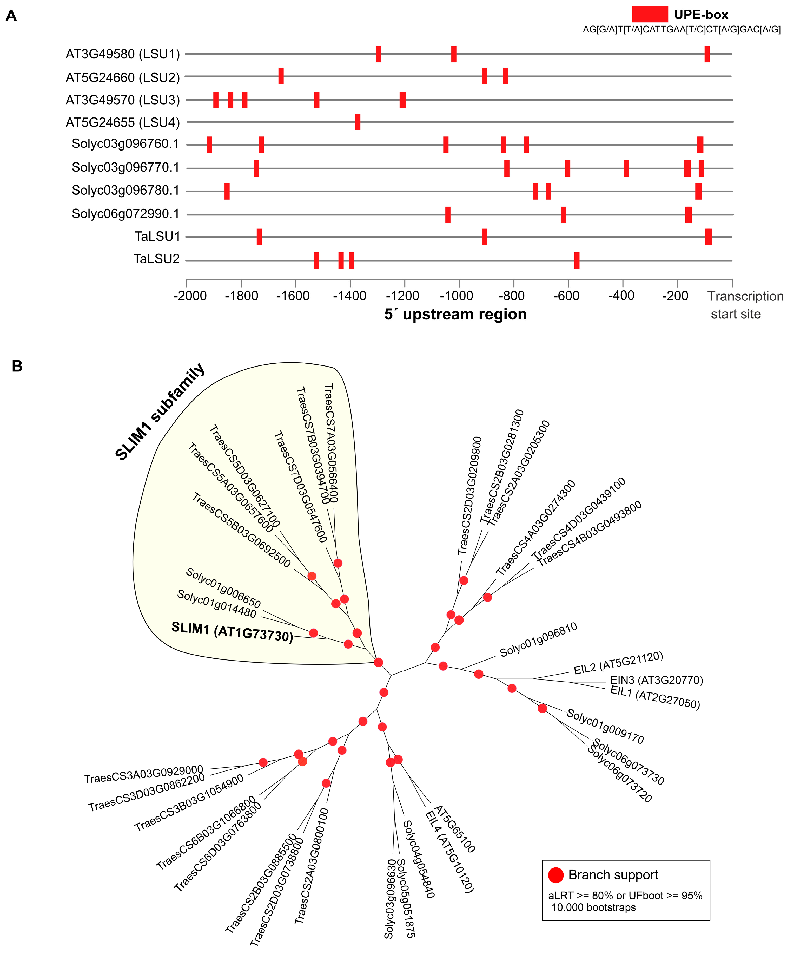 Plants 11 01526 g006