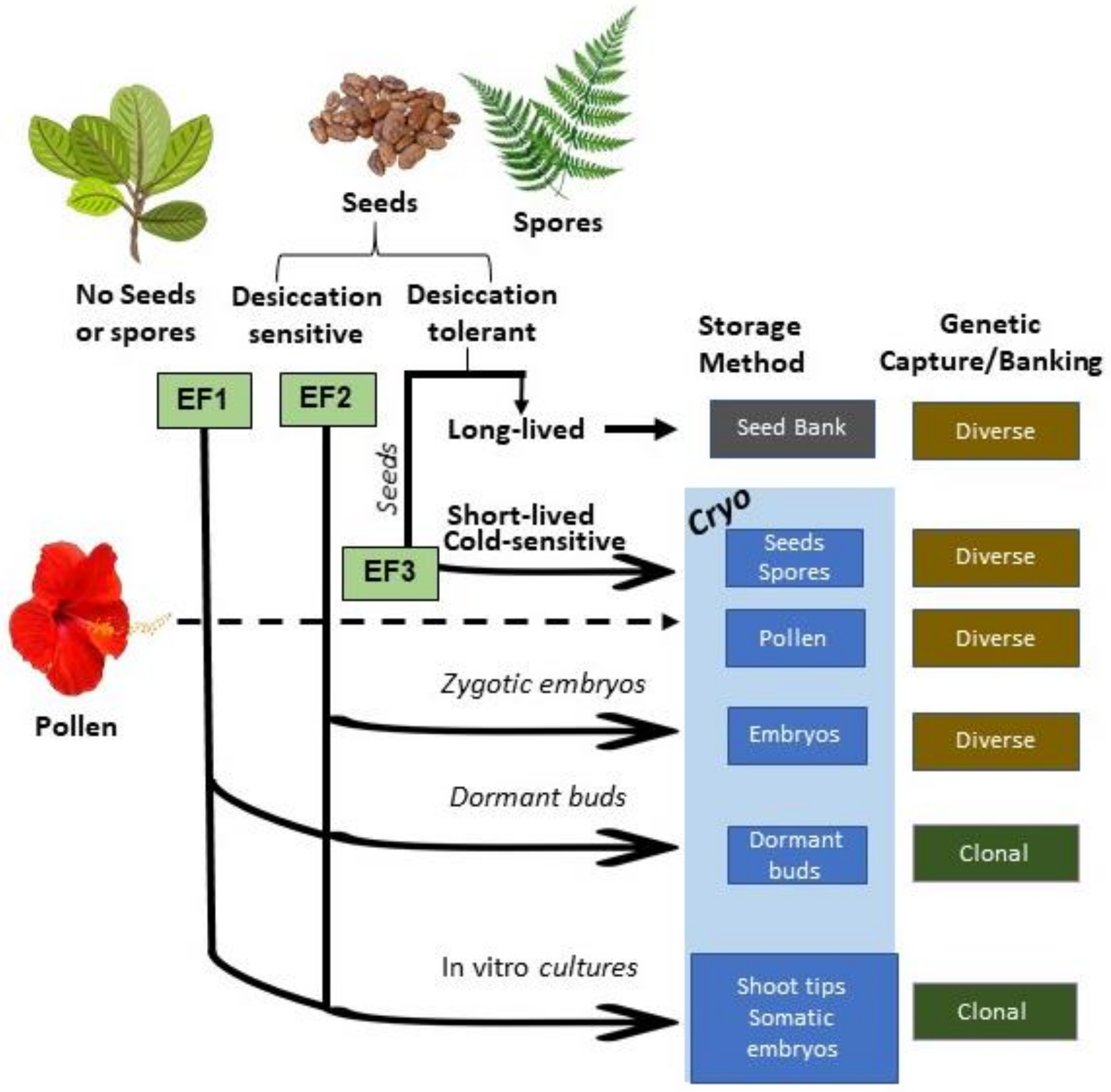 Plants 11 01528 g001 550