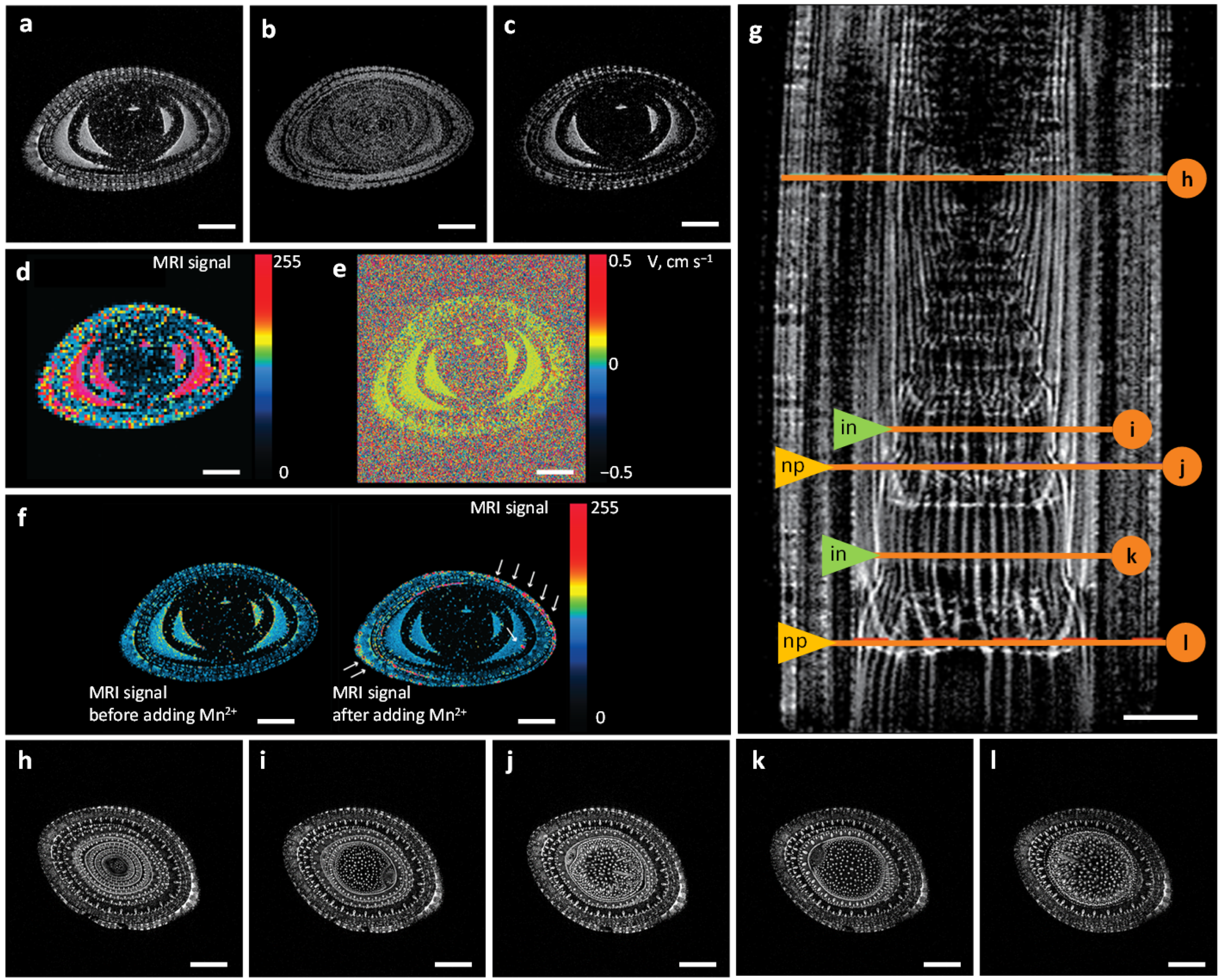 Plants 11 01533 g001 Plants 11 01533 g001