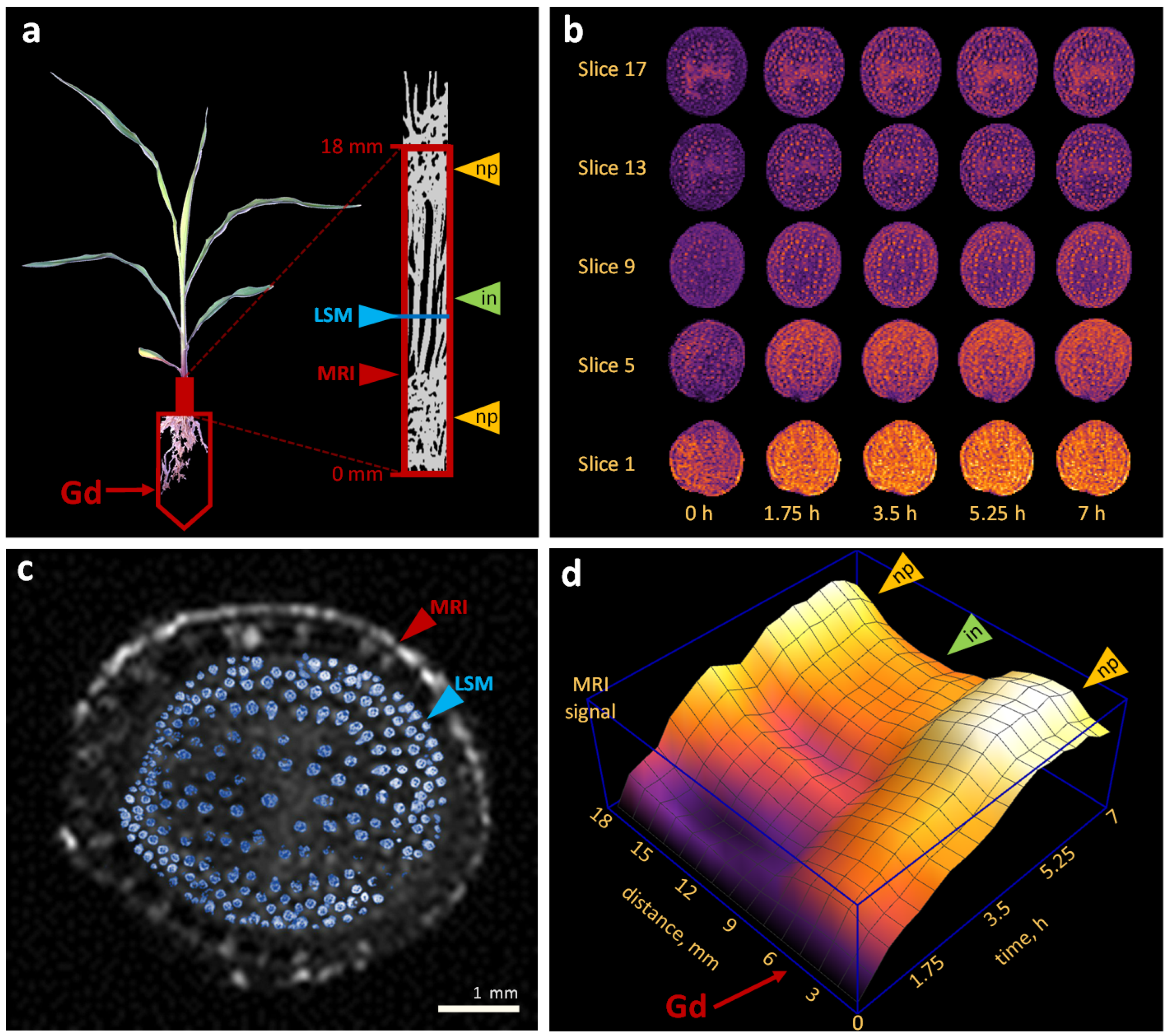 Plants 11 01533 g002 Plants 11 01533 g002