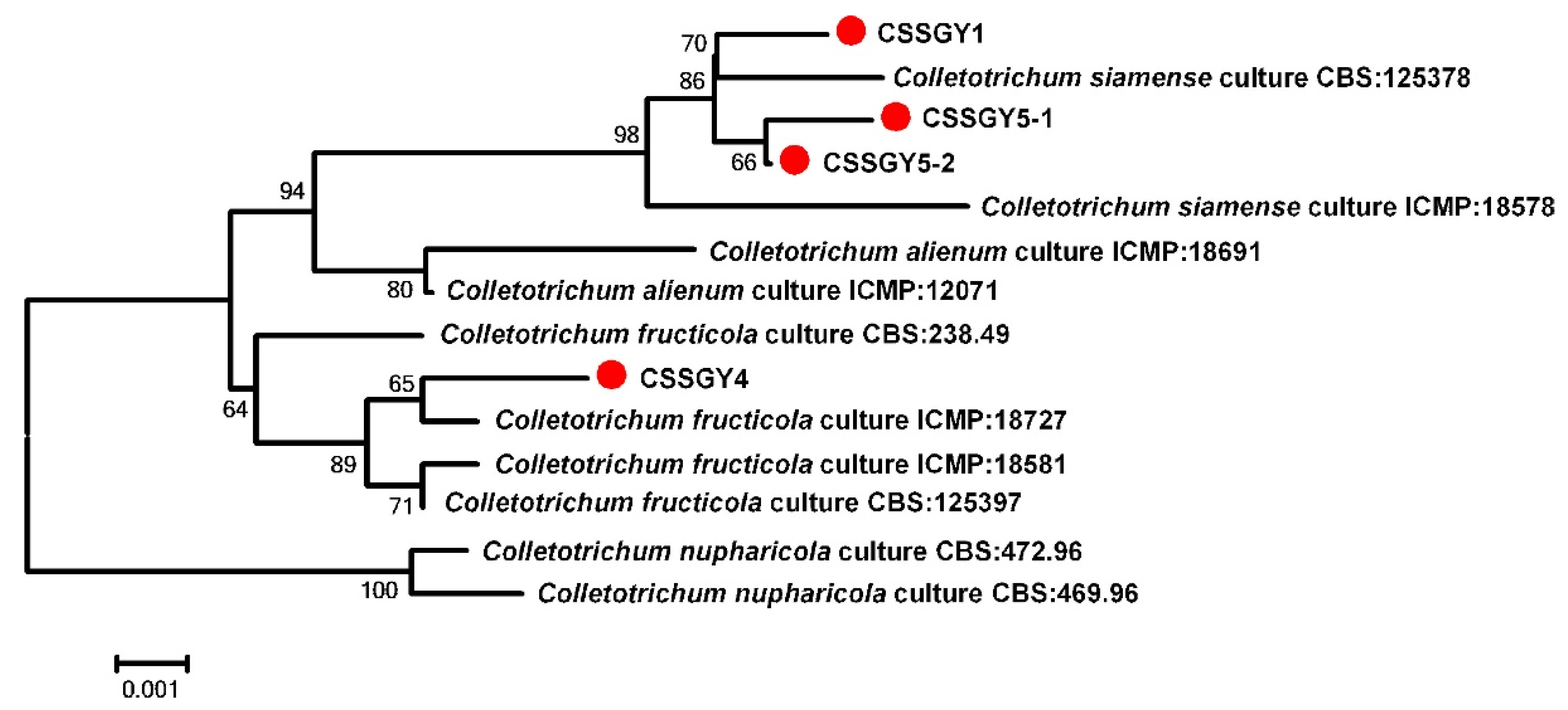 Plants 11 01537 g003