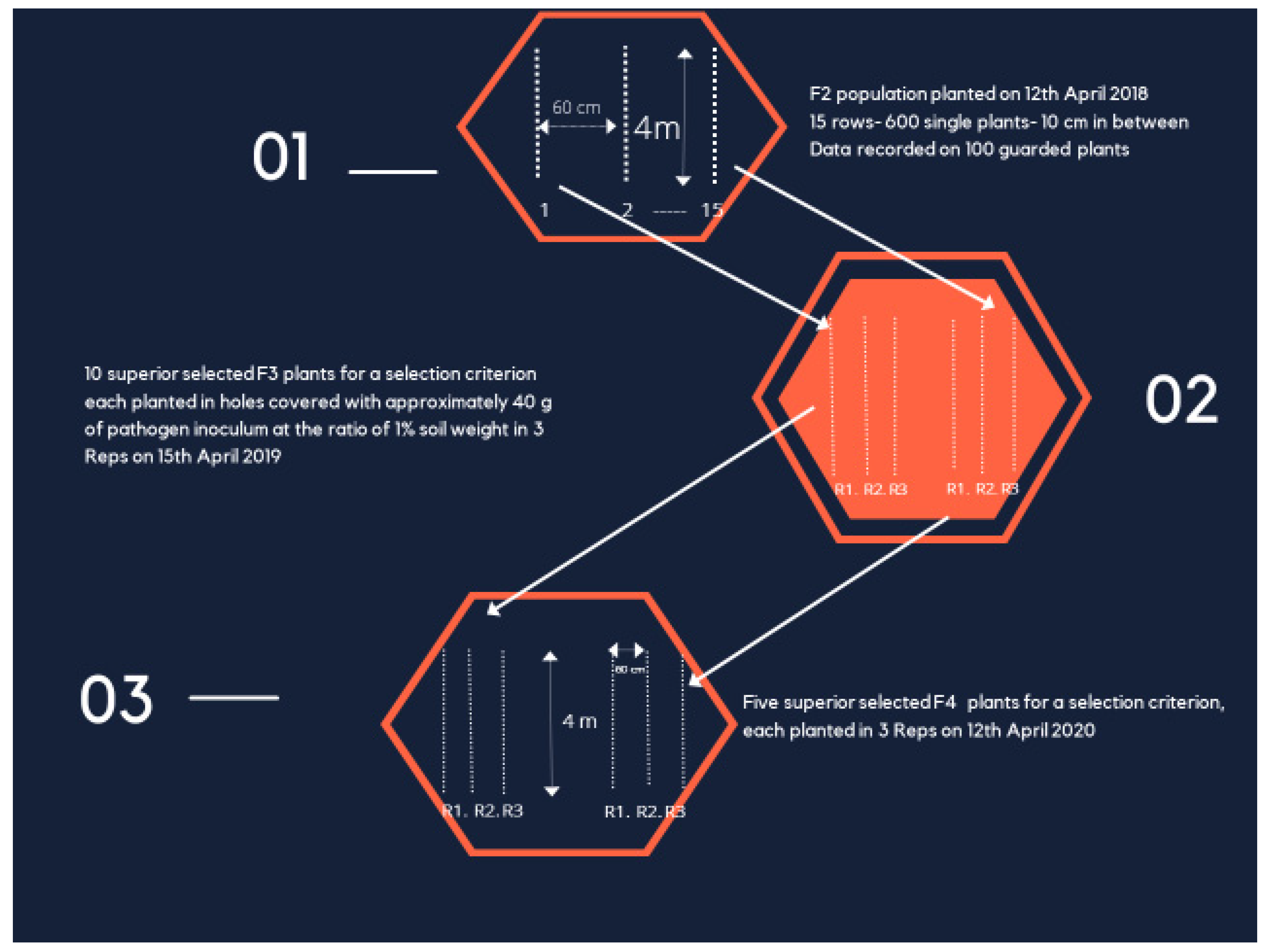 Plants 11 01538 g001
