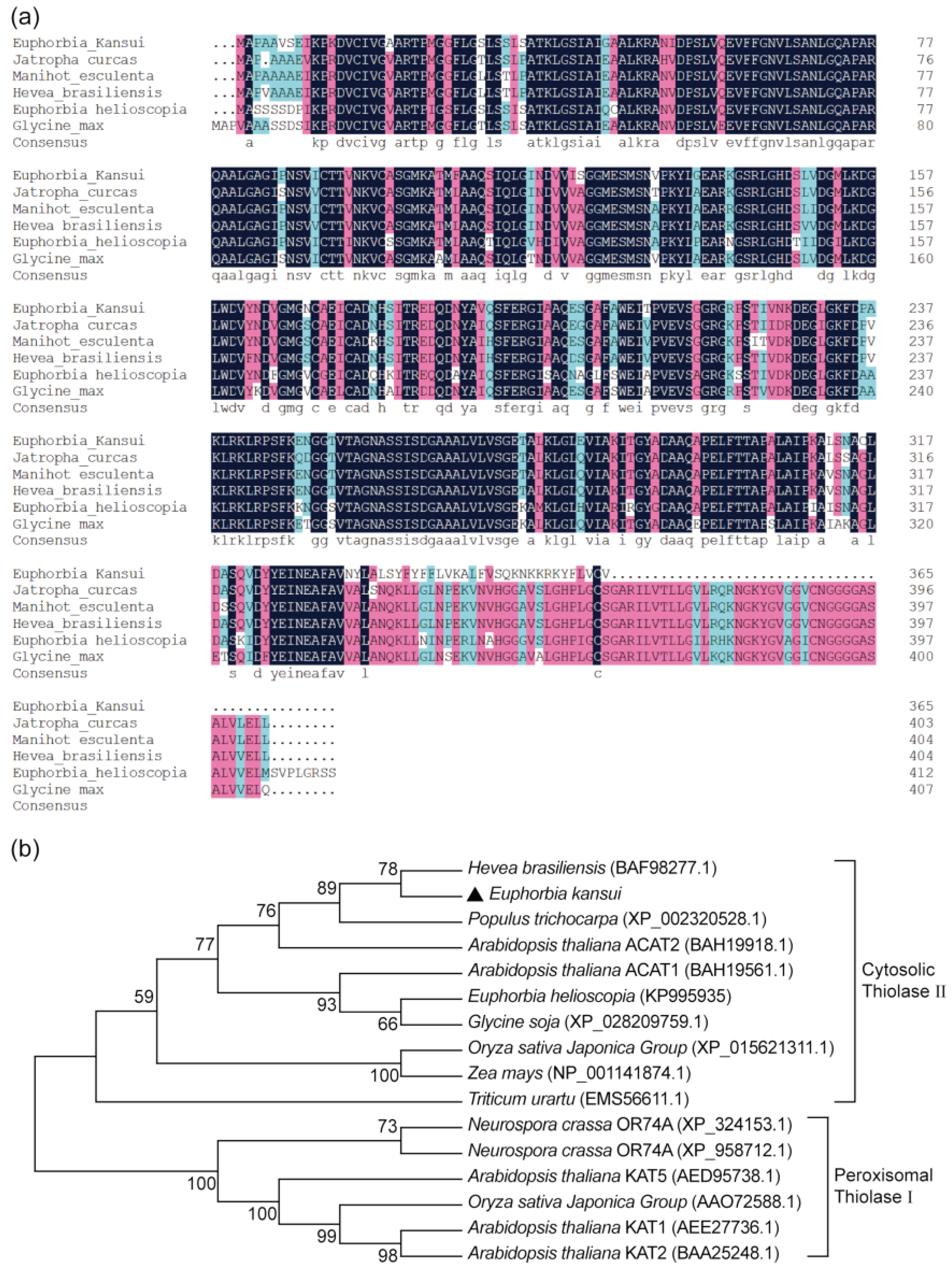 Plants 11 01539 g001 550