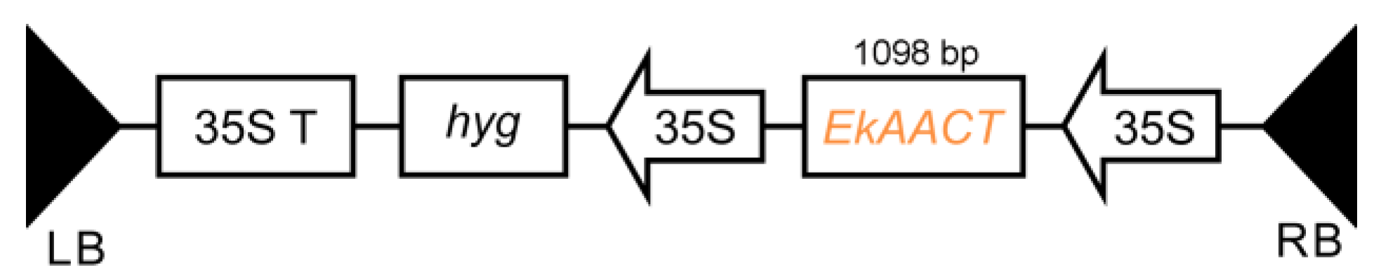 Plants 11 01539 g011 550