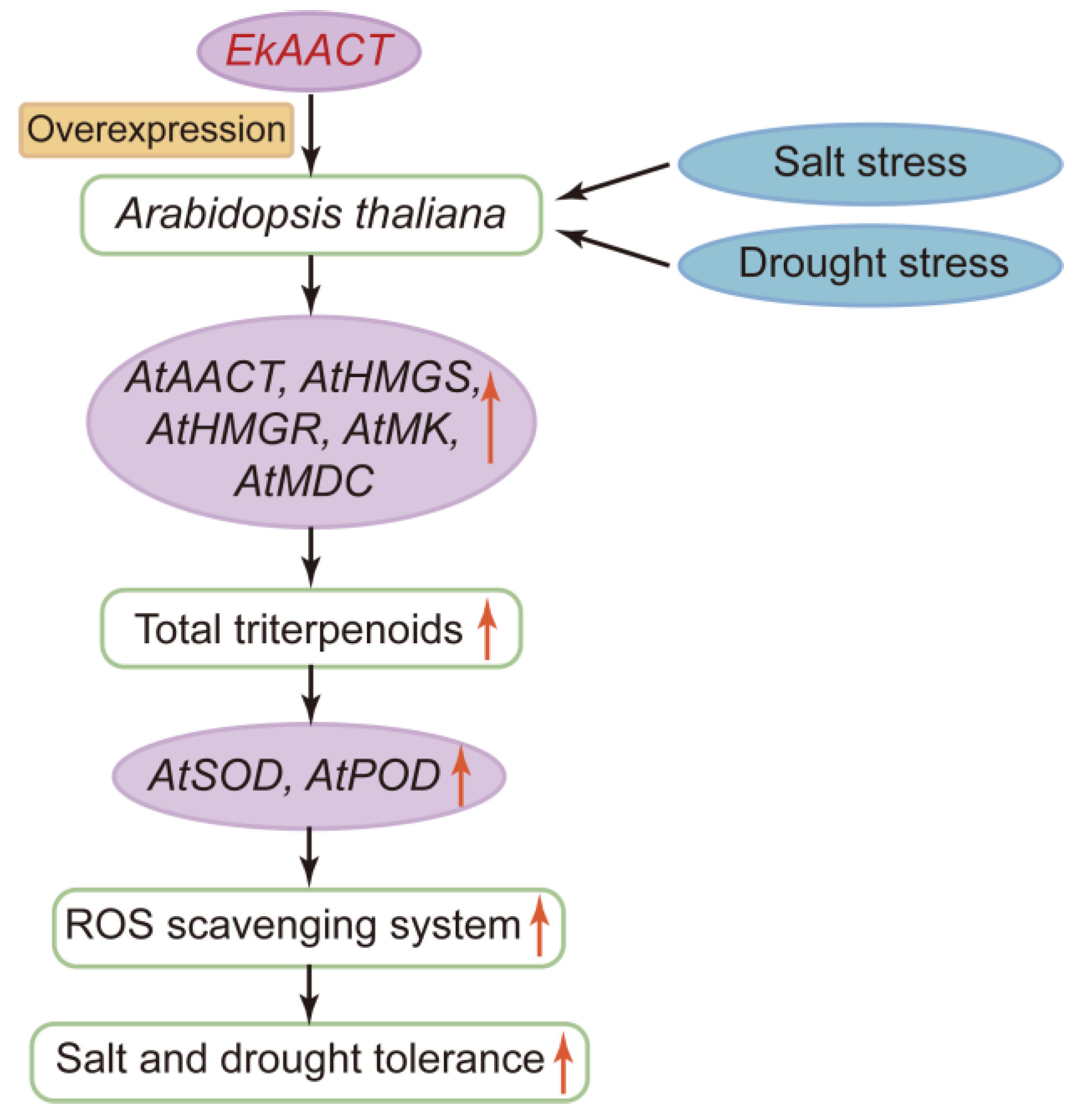 Plants 11 01539 g012 550