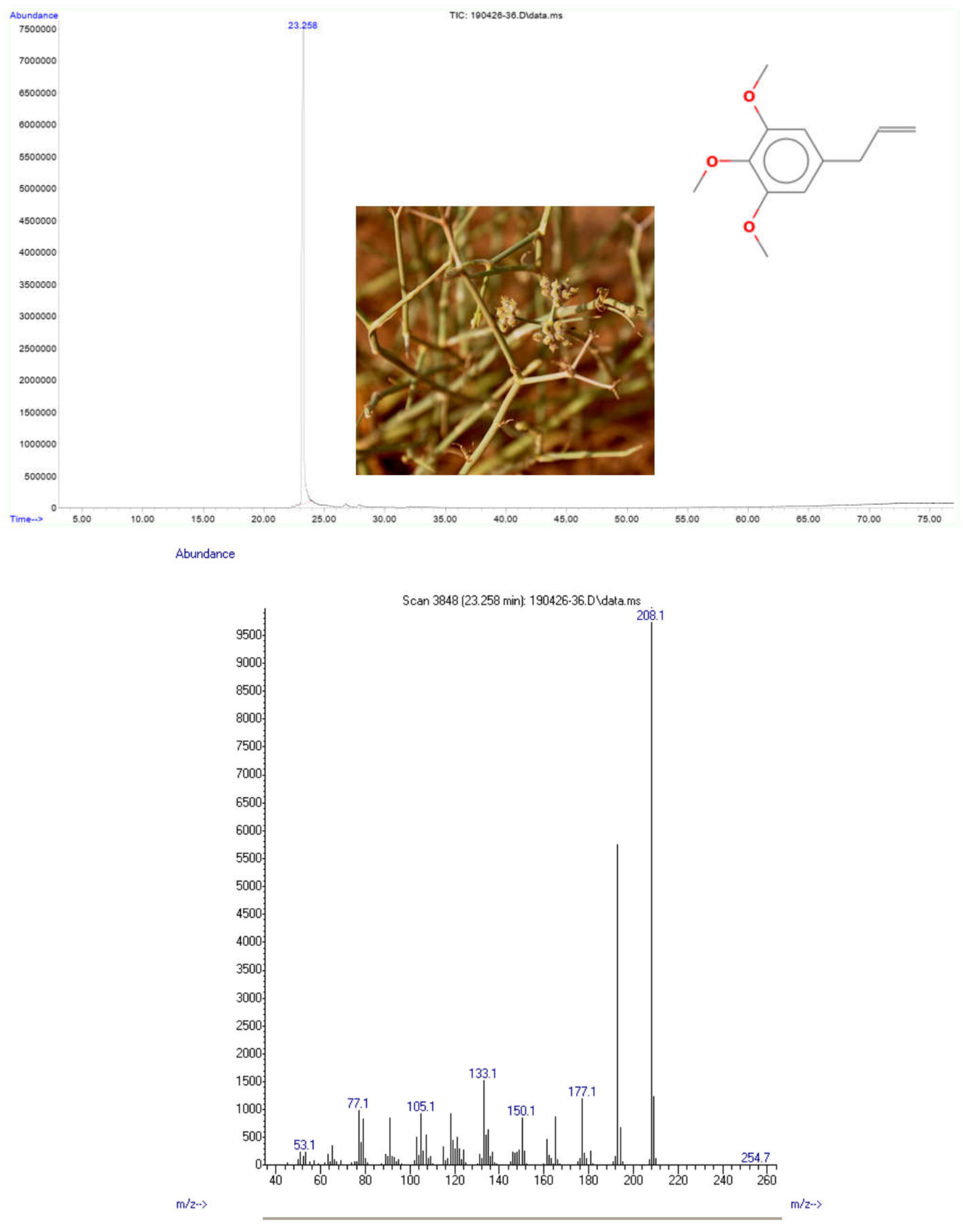 Plants 11 01543 g001 550