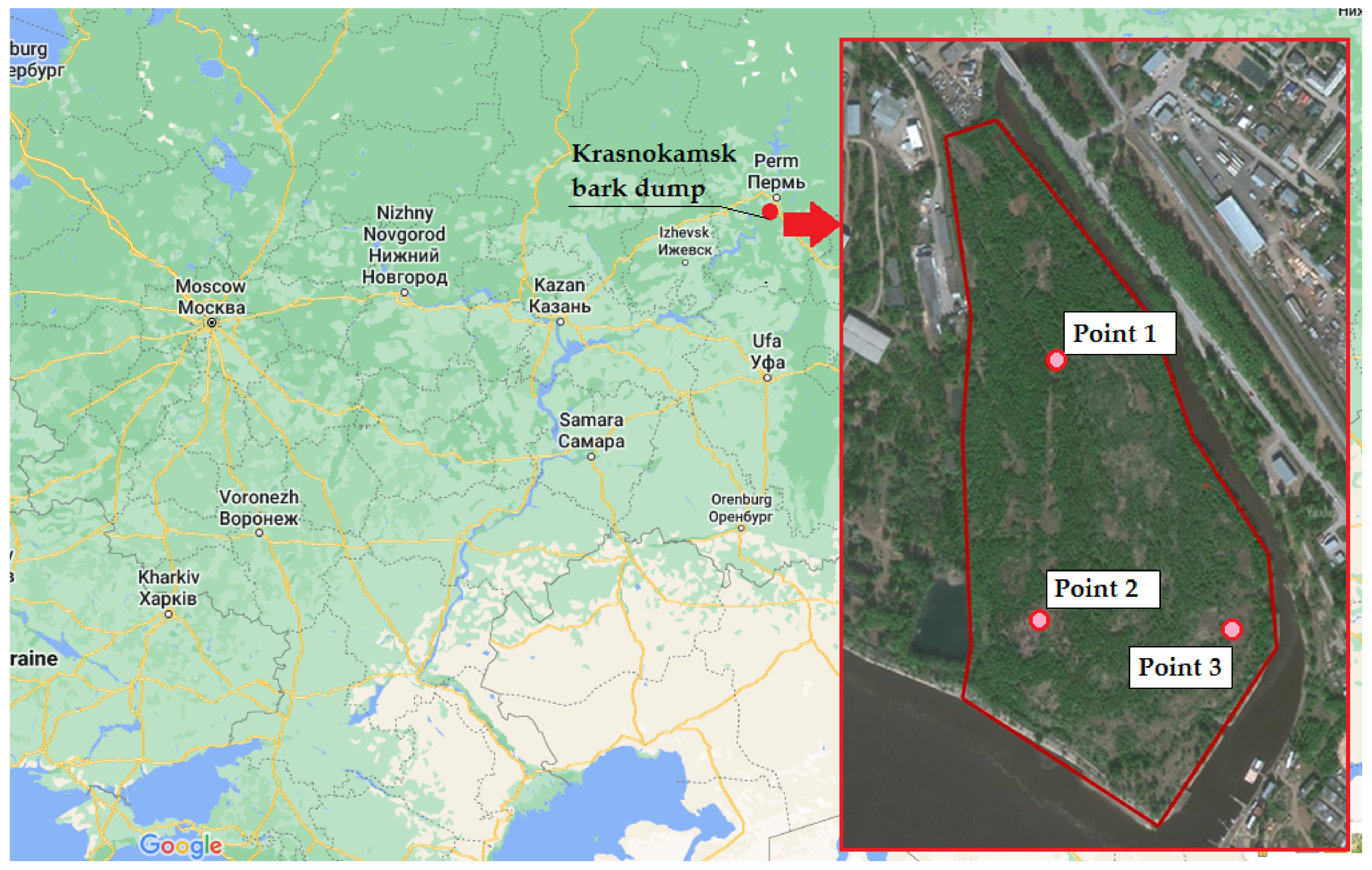 Plants 11 01549 g001 Plants 11 01549 g001