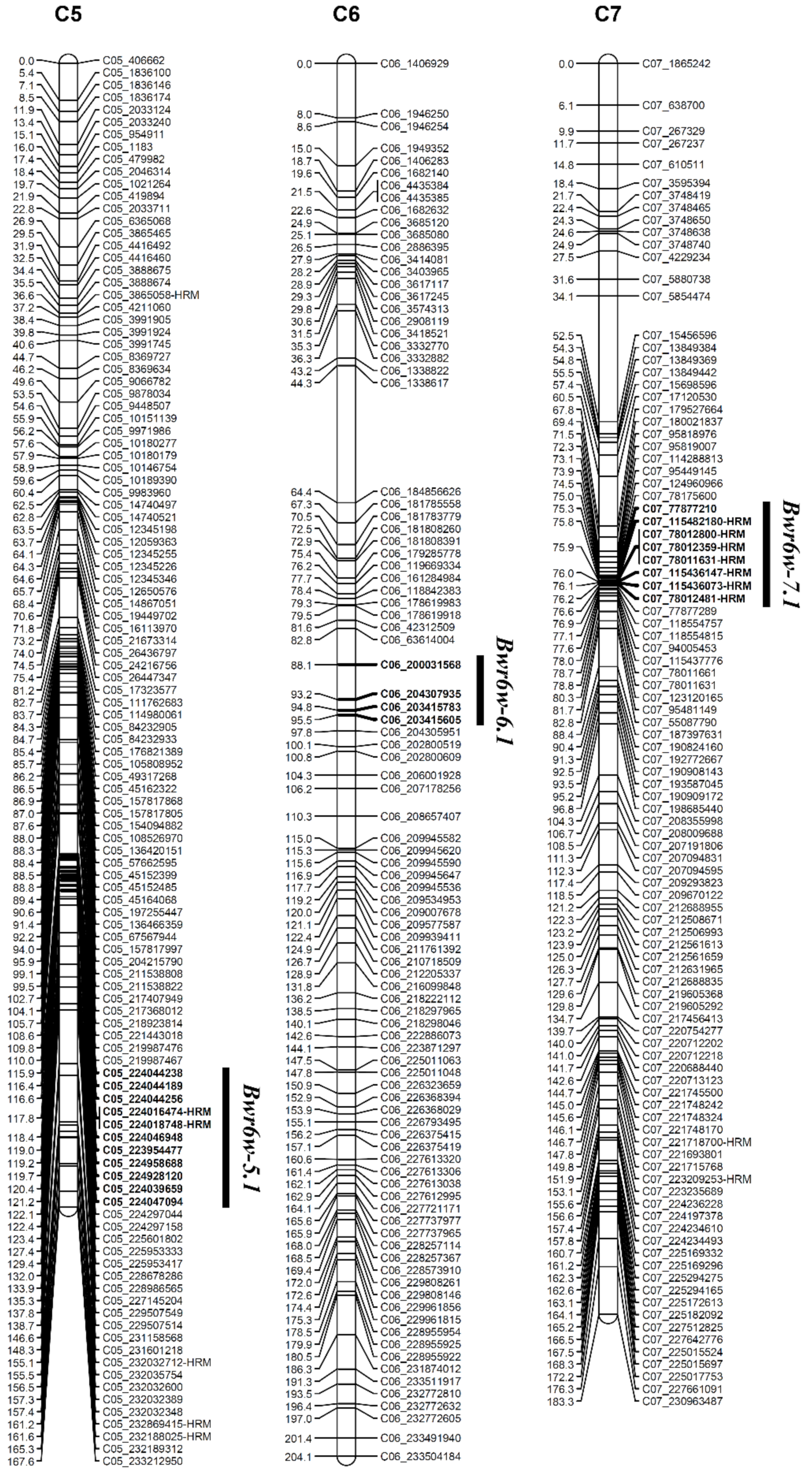 maccho QTL Mapping for Resistance to Bacterial Wilt Caused by Two