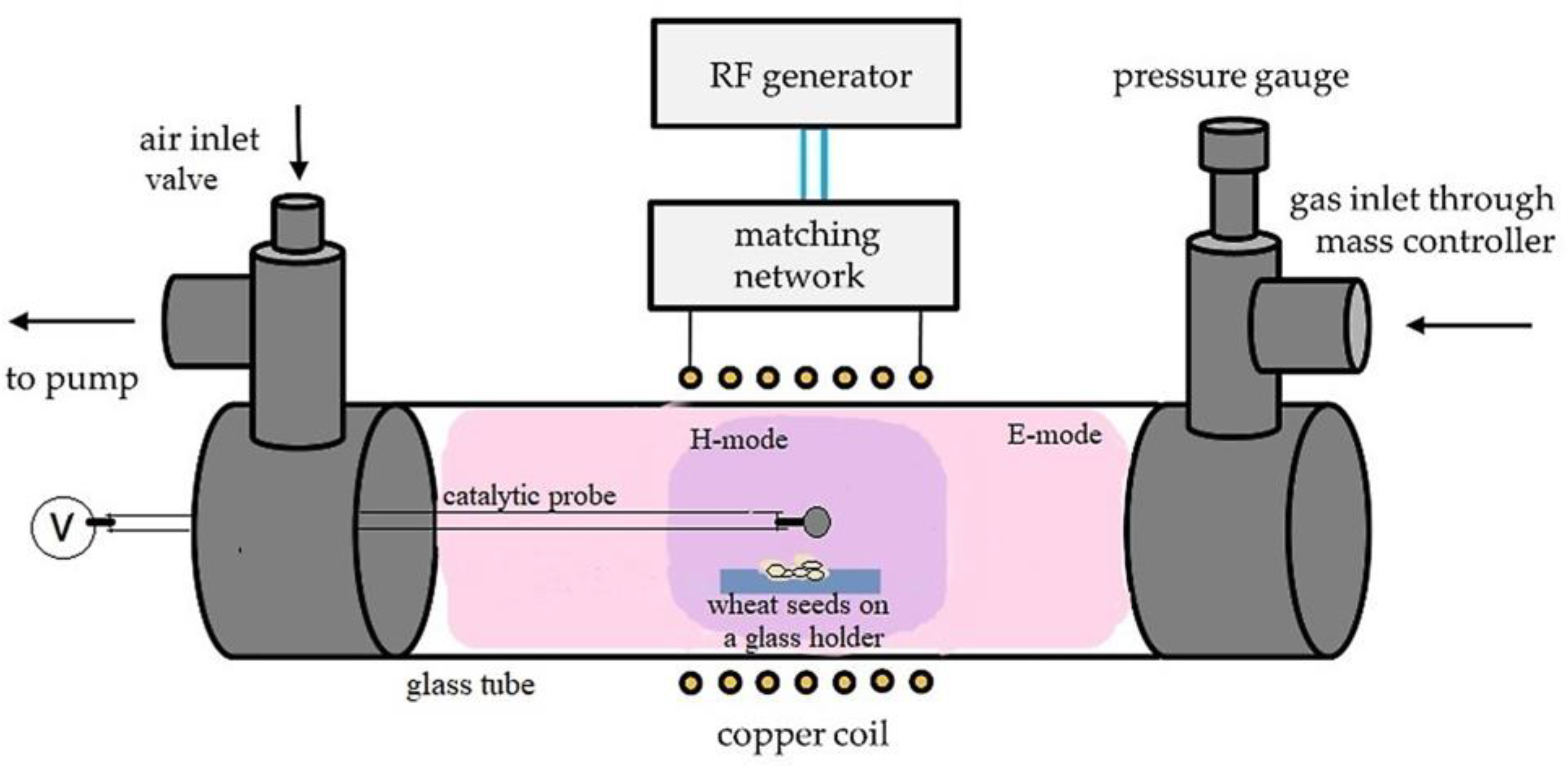 Plants 11 01552 g001
