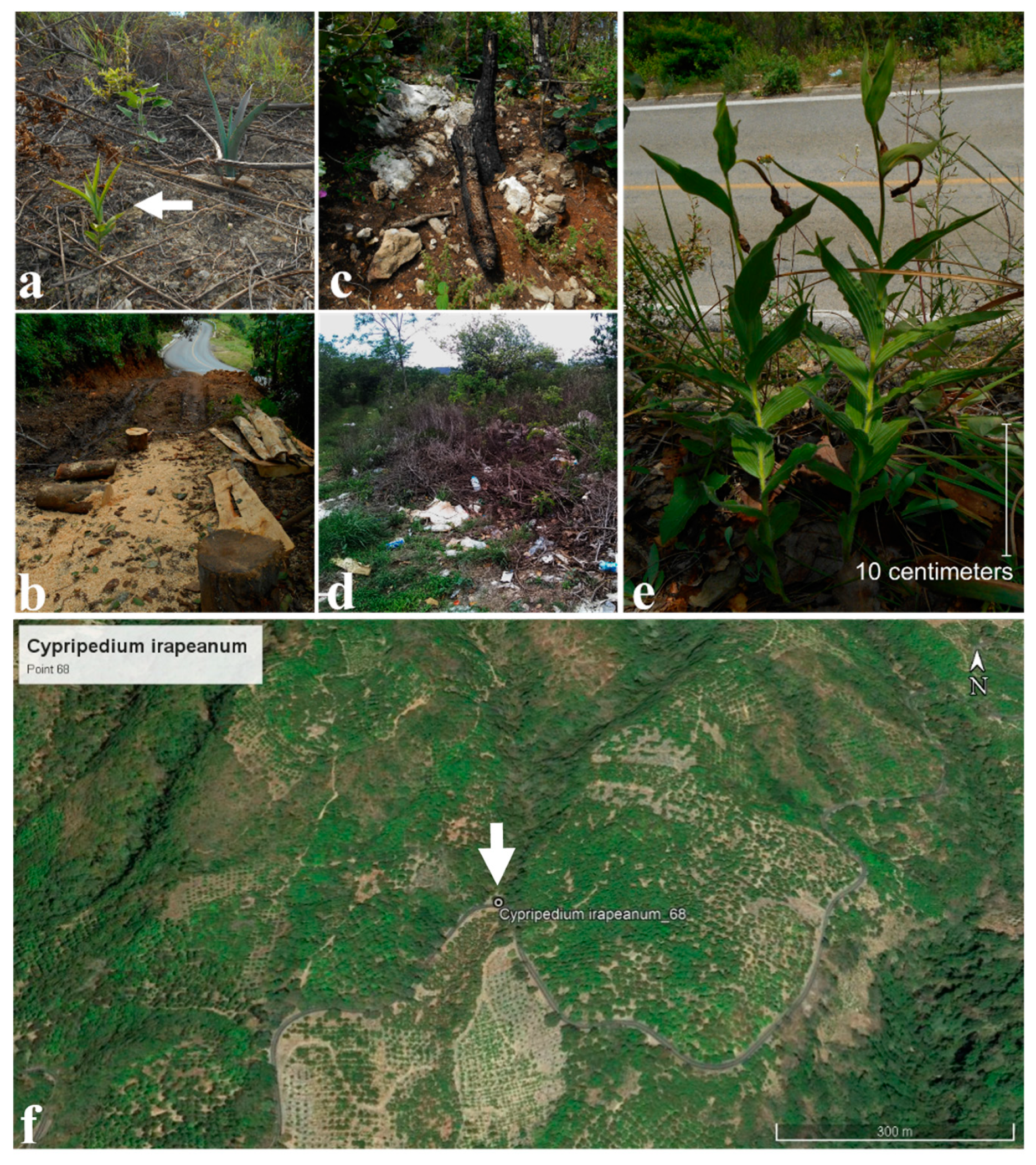 Plants 11 01554 g003 Plants 11 01554 g003