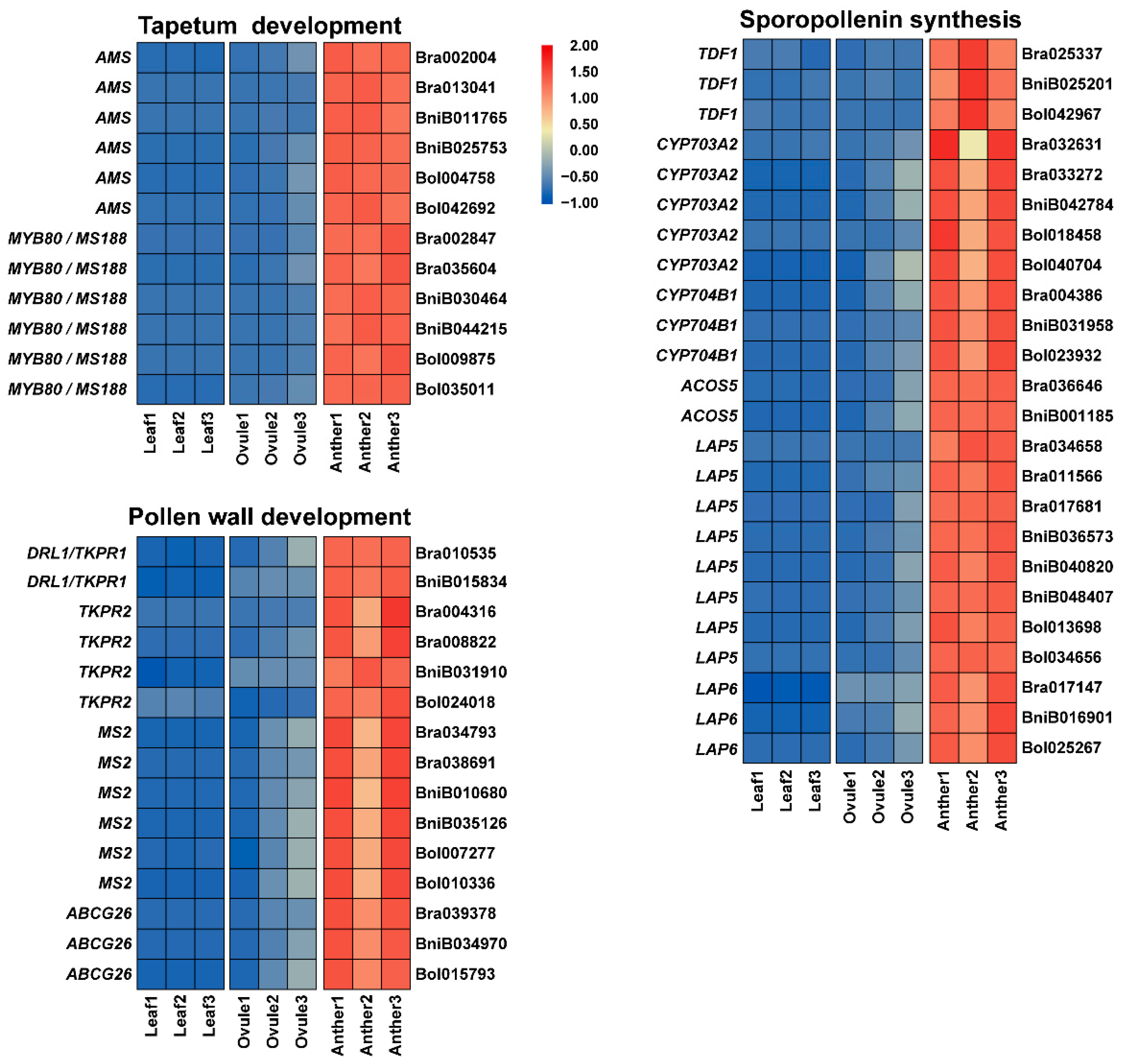 Plants 11 01556 g005