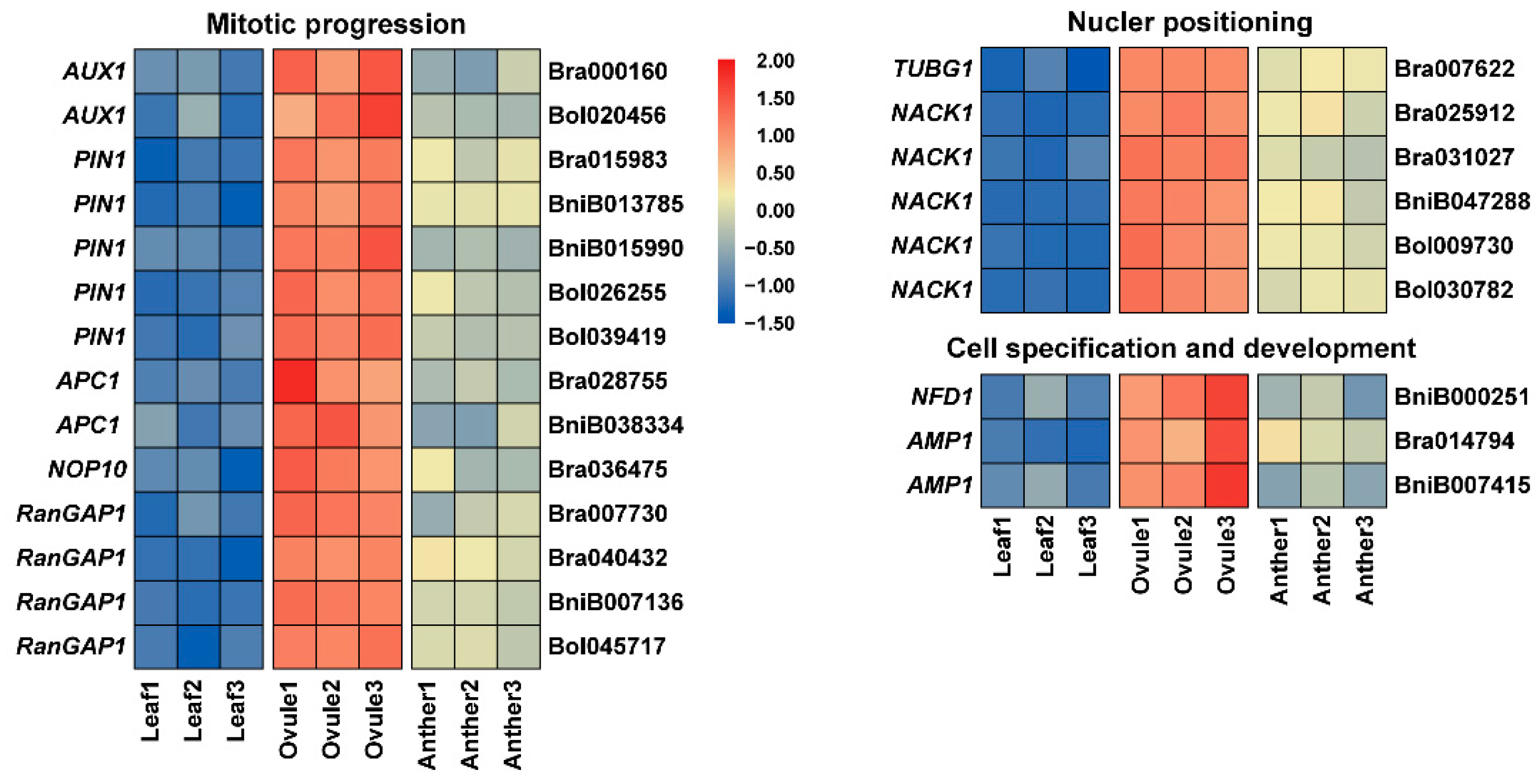 Plants 11 01556 g007