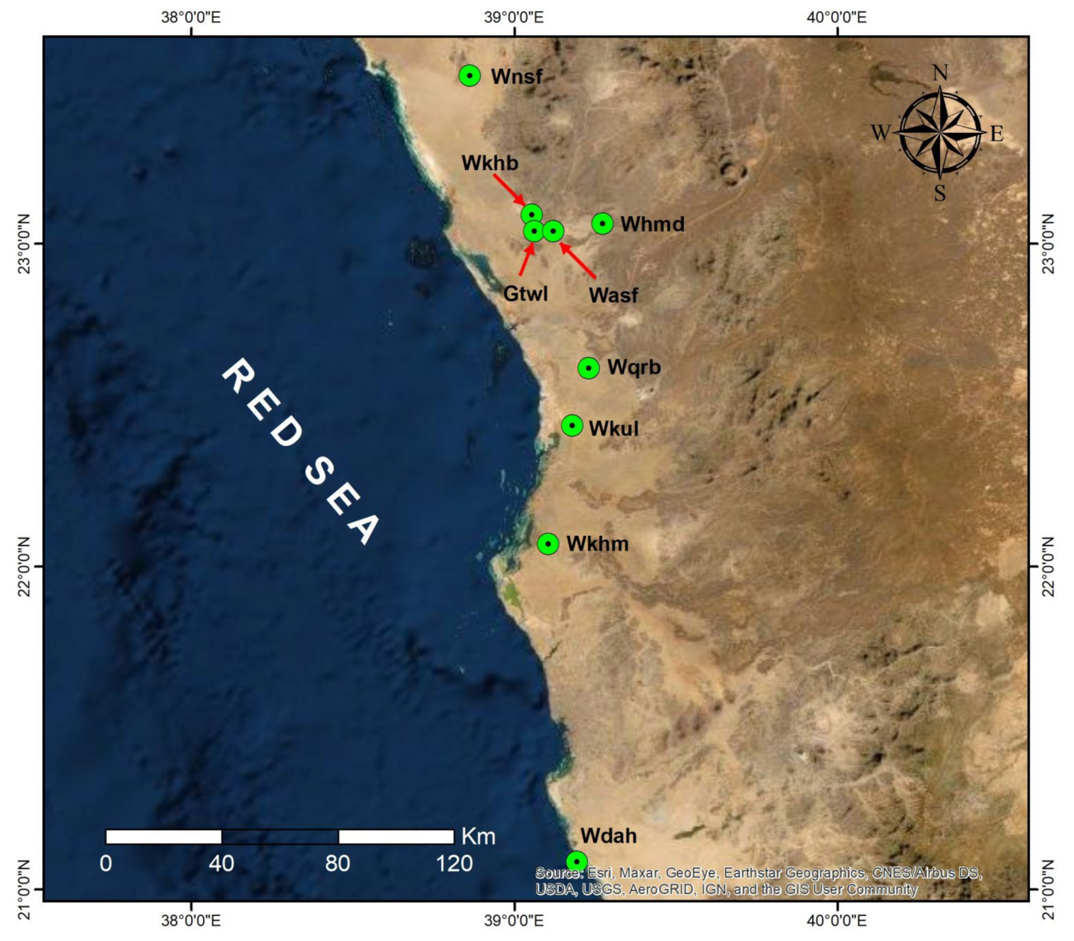 Plants 11 01560 g001