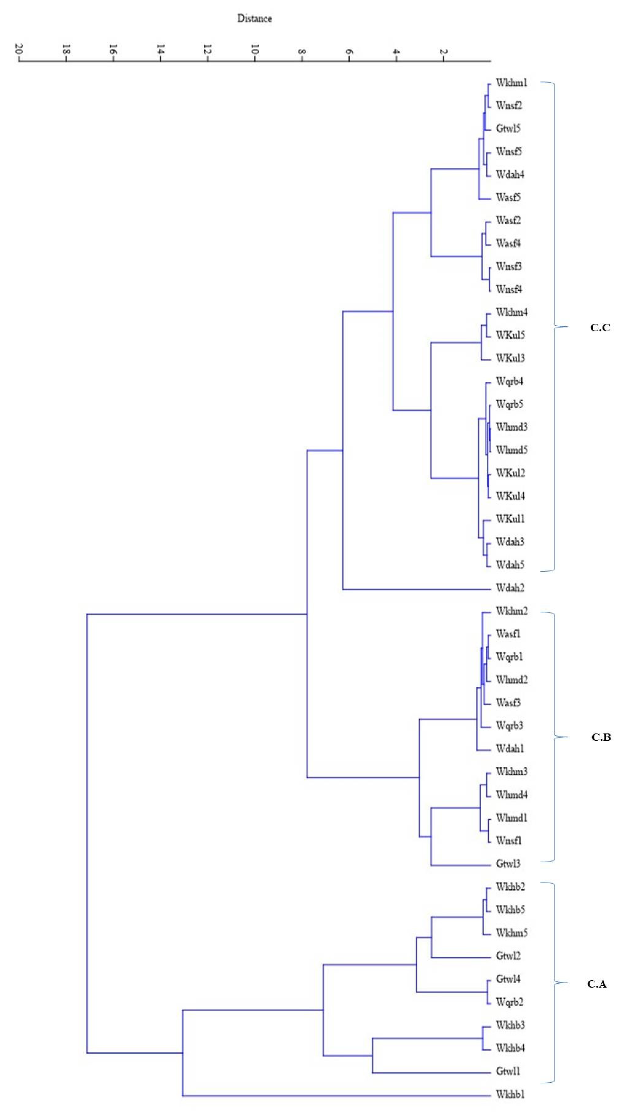 Plants 11 01560 g002