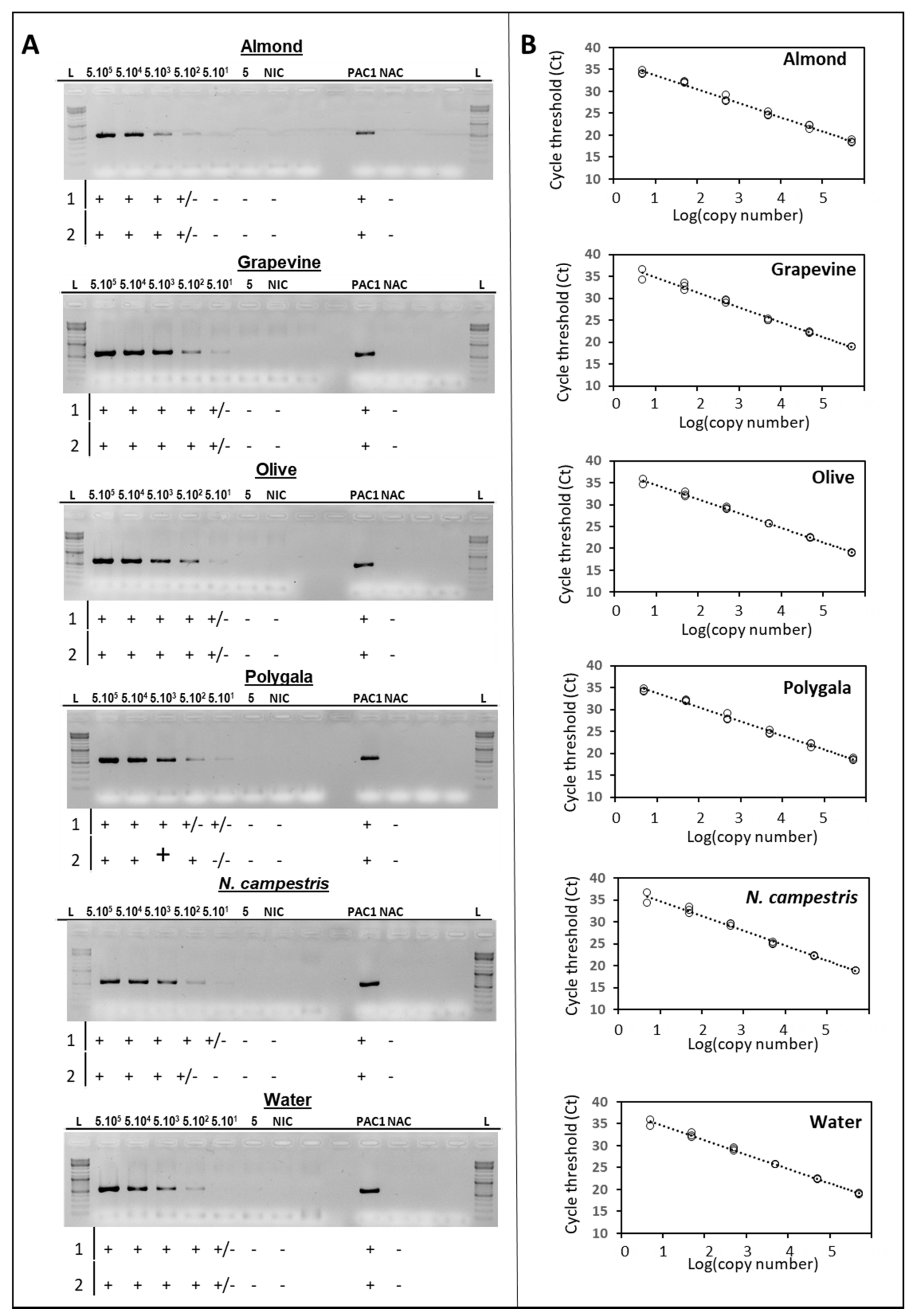 Plants 11 01562 g001