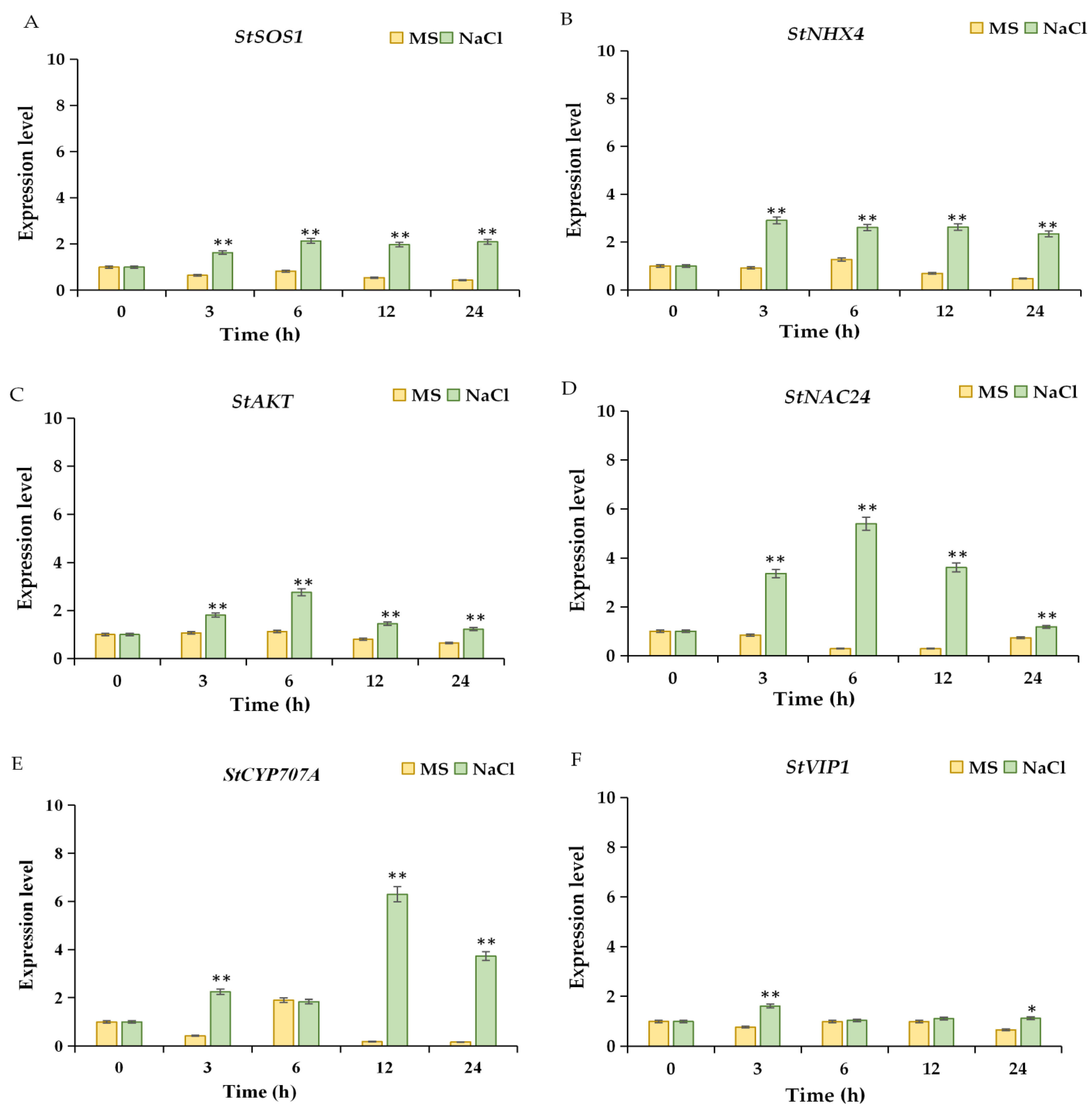 Plants 11 01565 g005 Plants 11 01565 g005