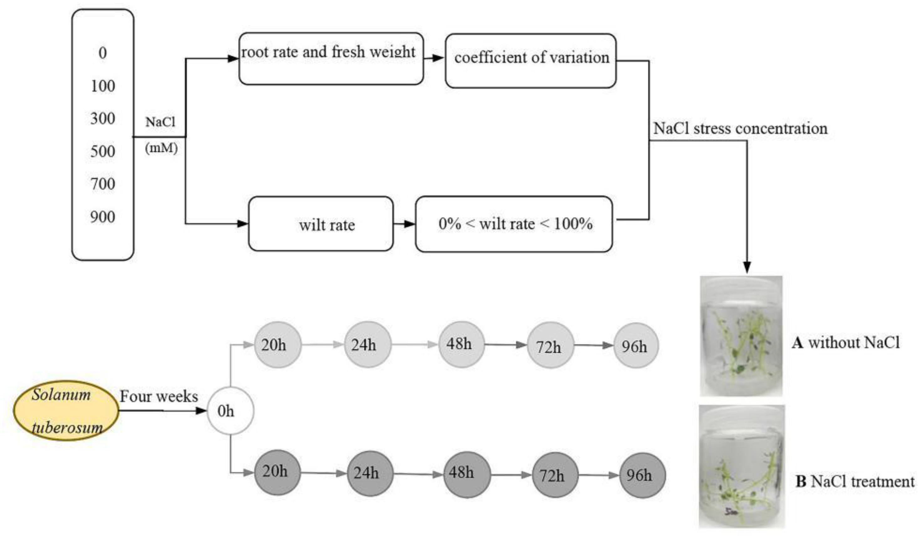 Plants 11 01565 g008 Plants 11 01565 g008