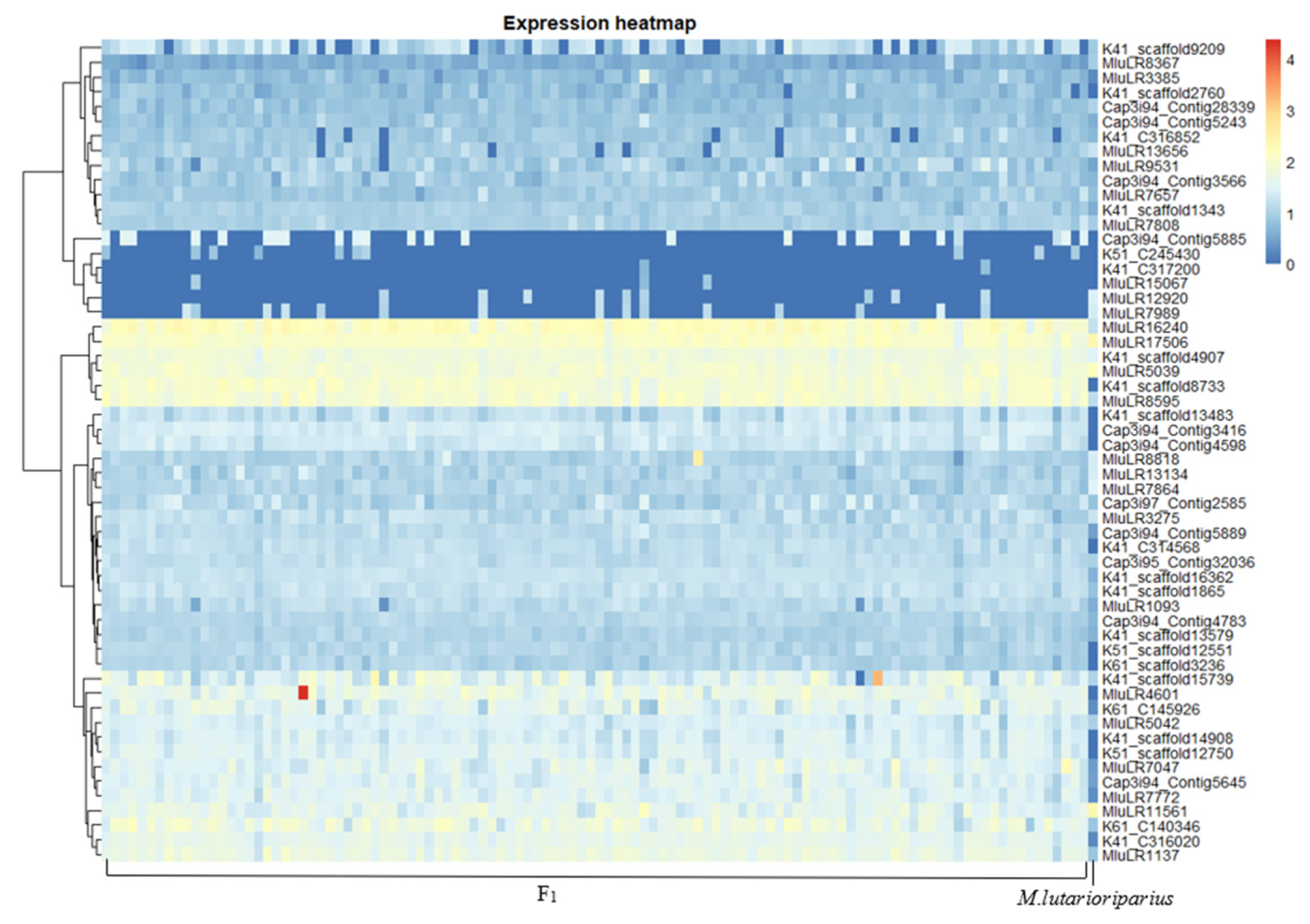 Plants 11 01568 g005 550