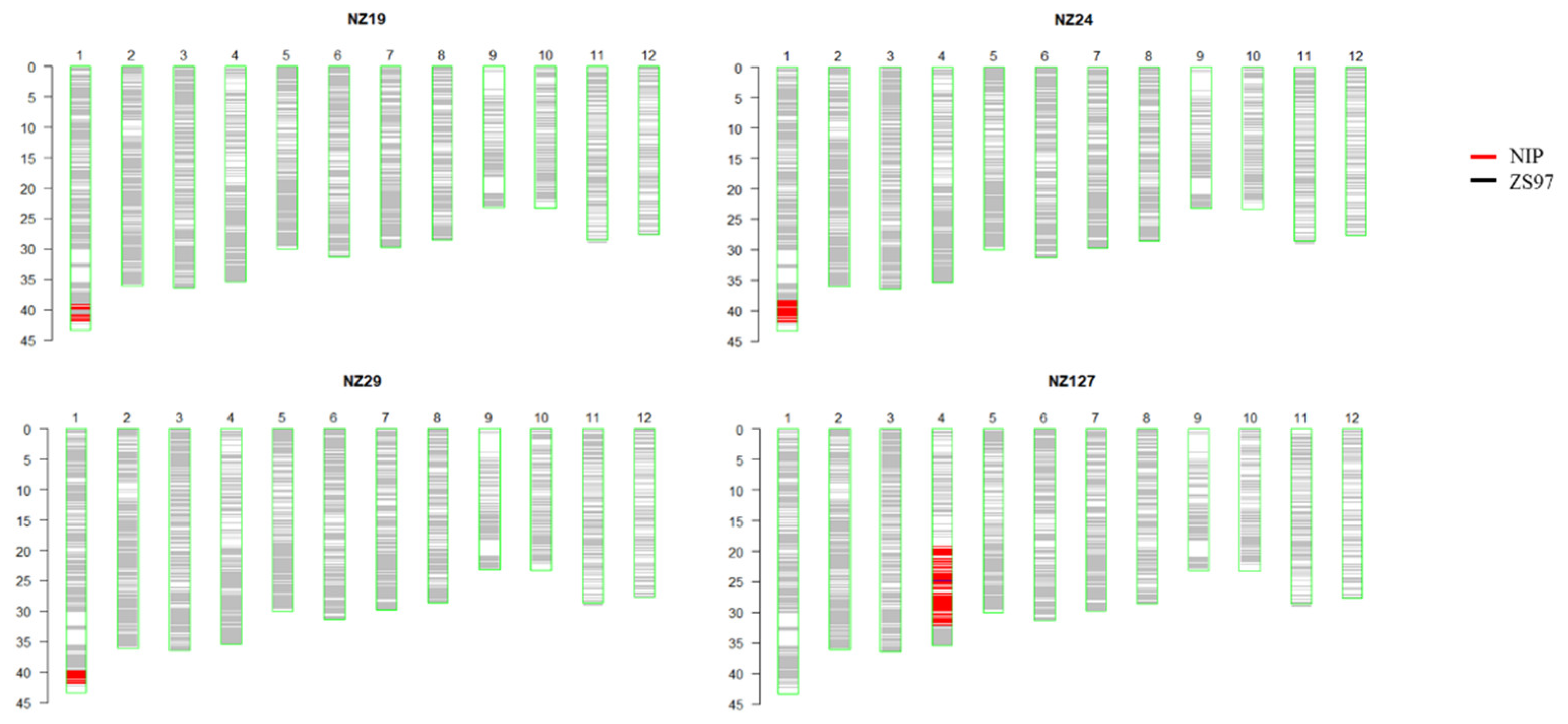 Plants 11 01570 g004