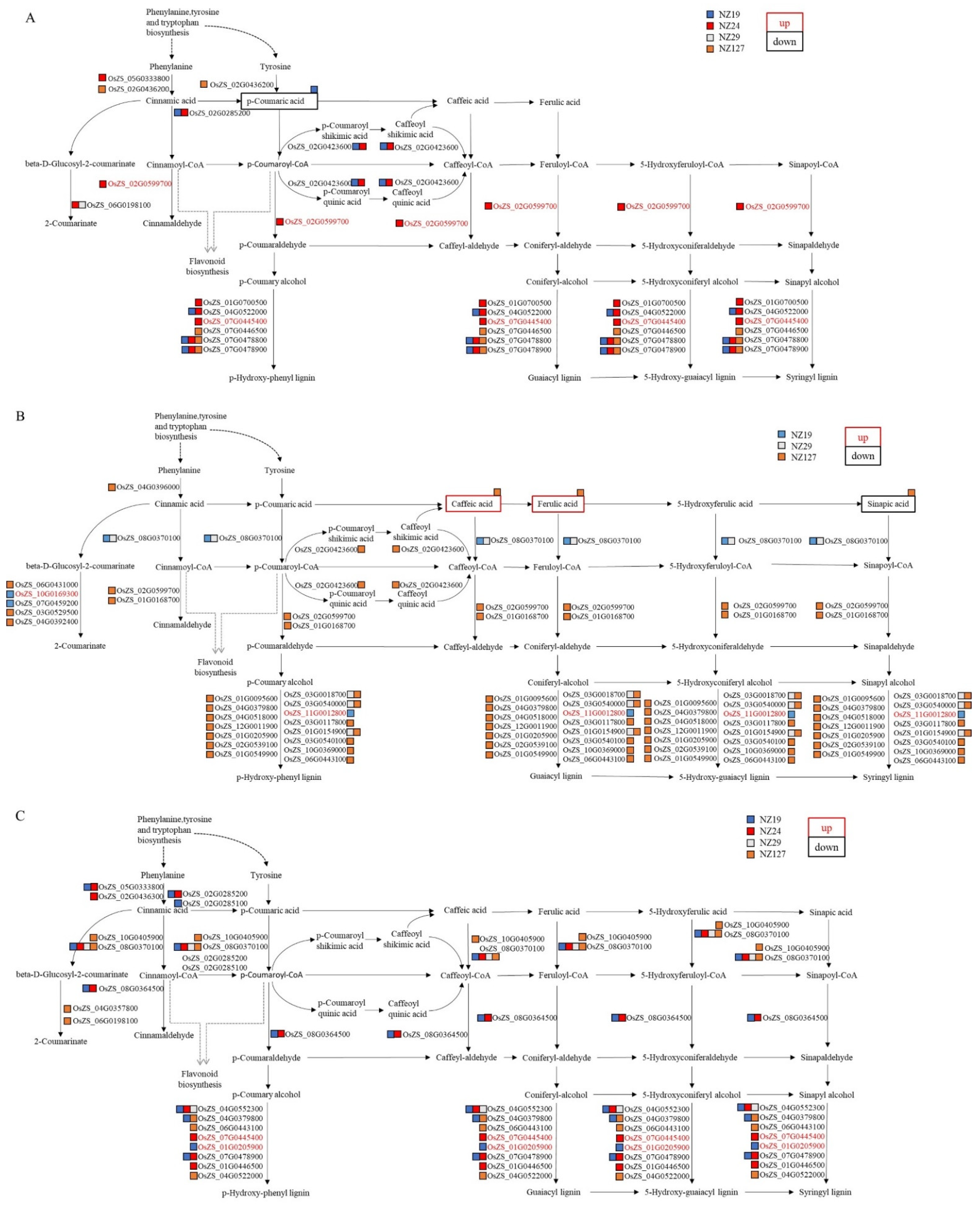 Plants 11 01570 g011
