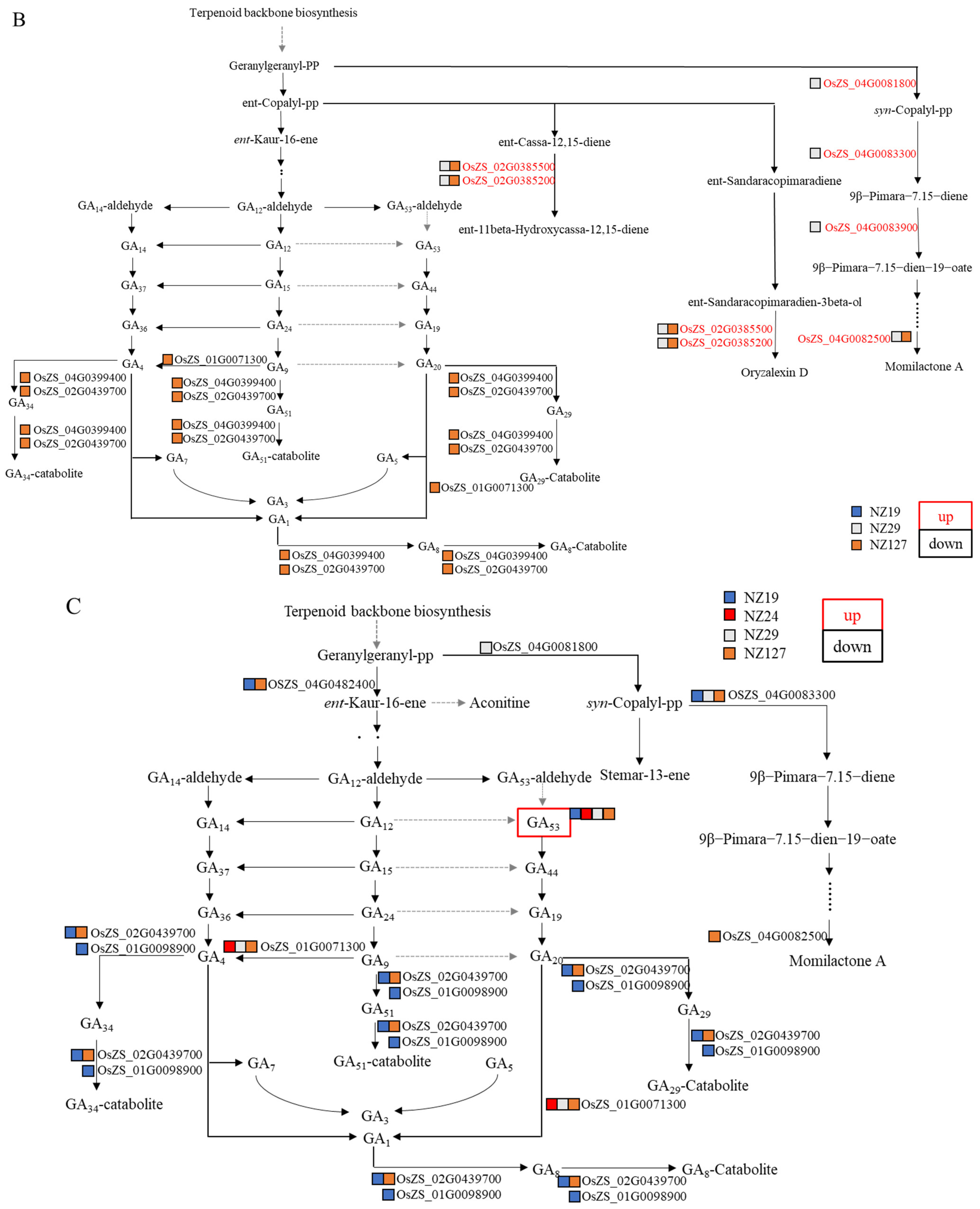 Plants 11 01570 g012b