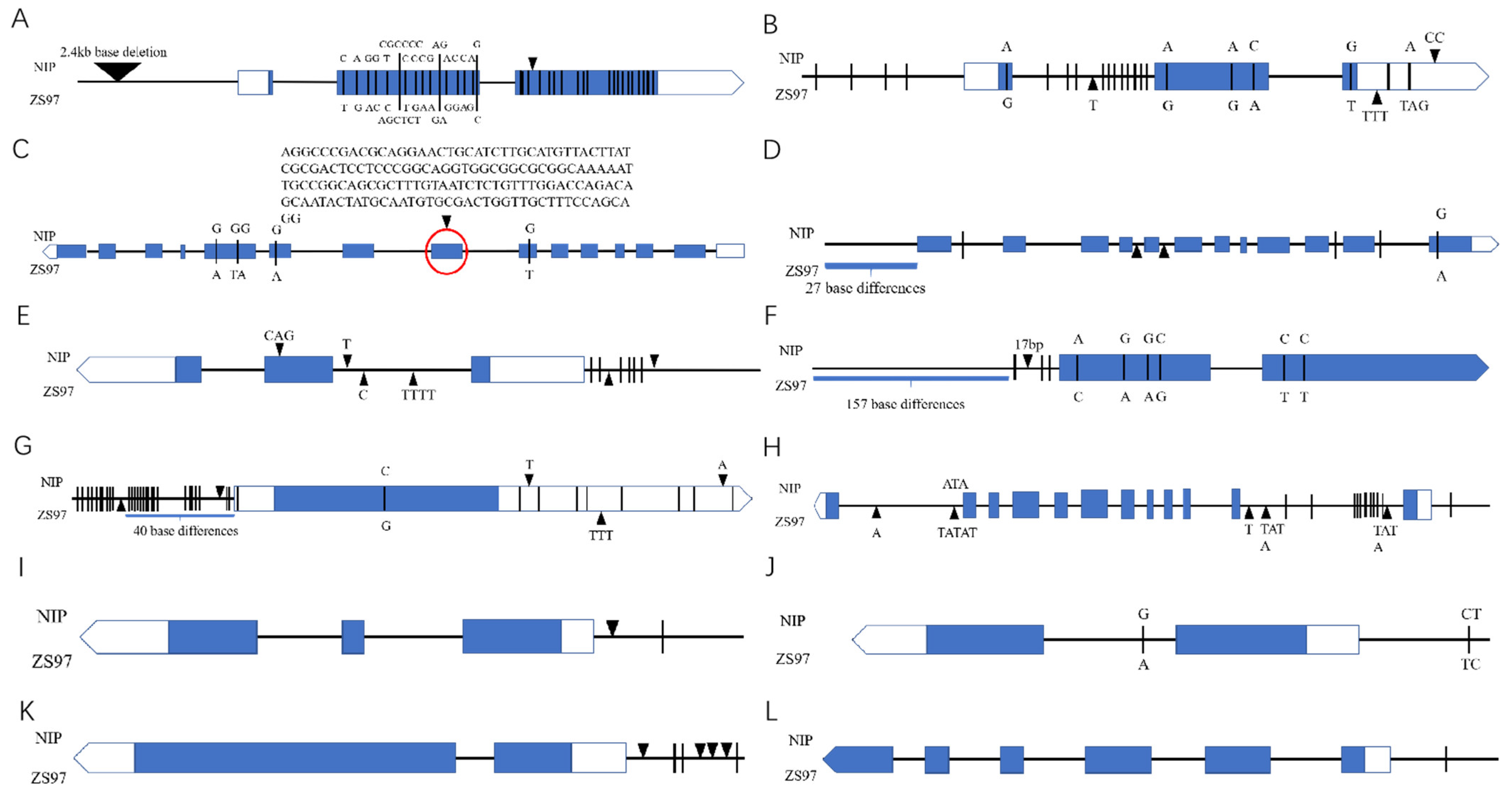 Plants 11 01570 g013