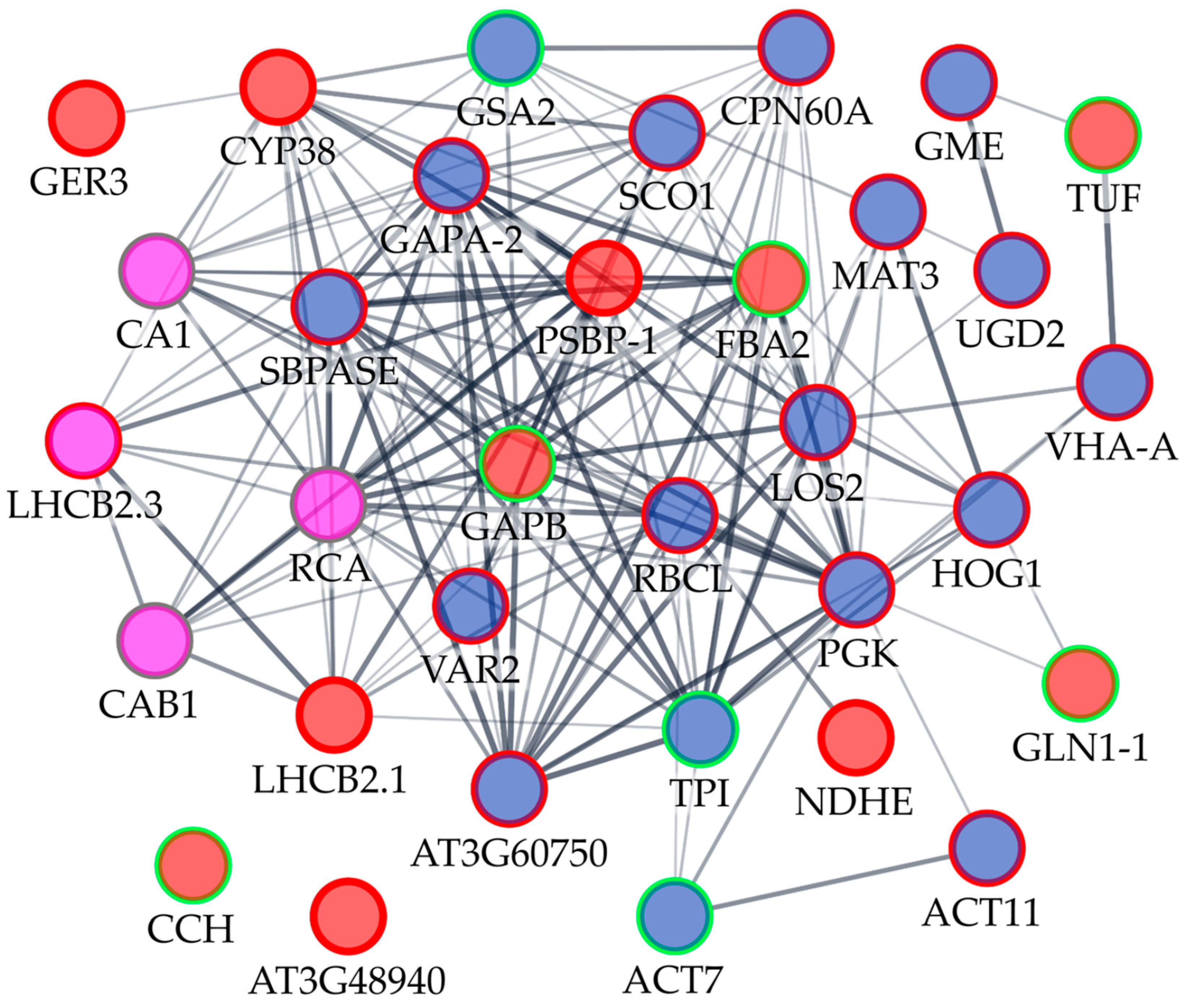 Plants 11 01572 g002 Plants 11 01572 g002