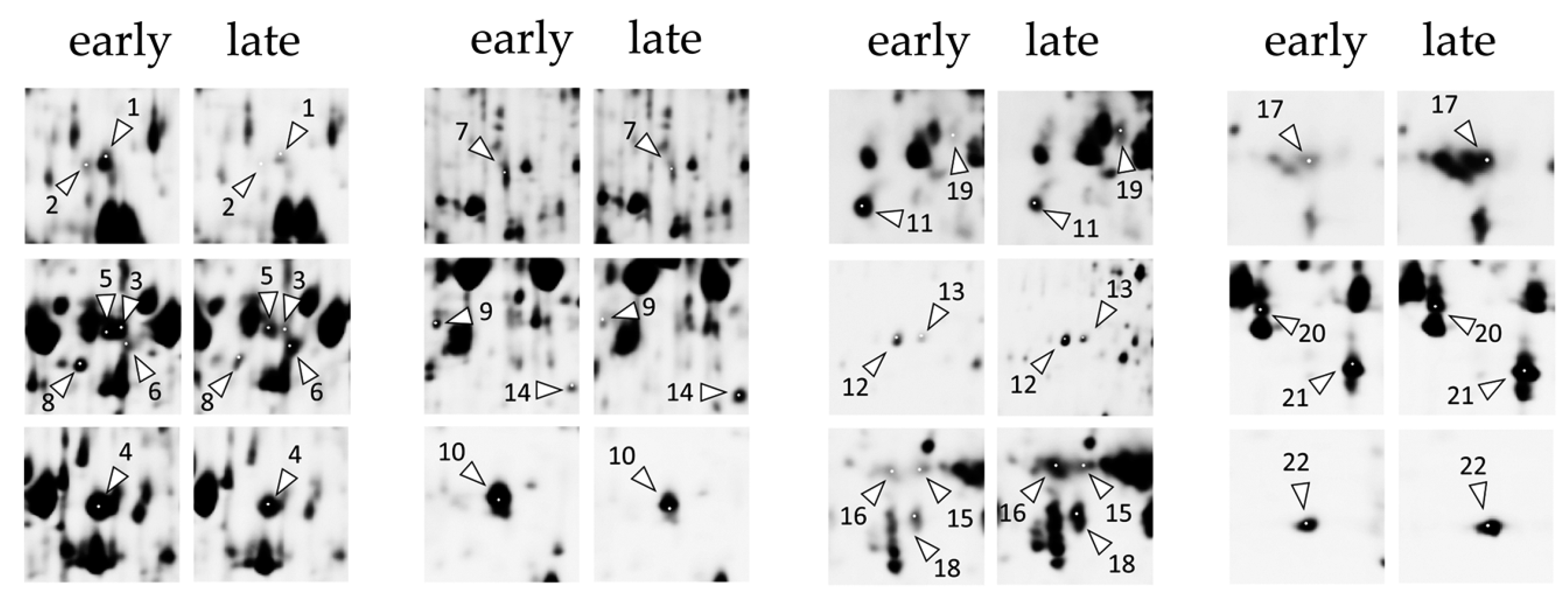 Plants 11 01572 g0a2 Plants 11 01572 g0a2