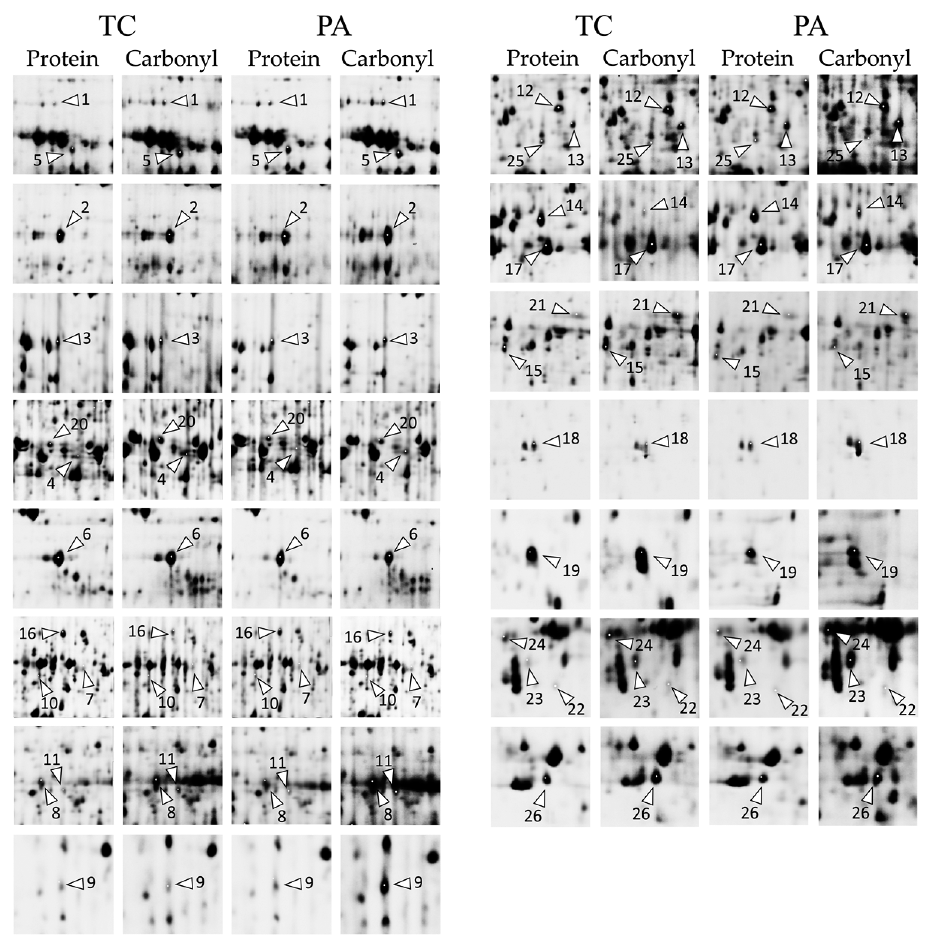 Plants 11 01572 g0a3 Plants 11 01572 g0a3