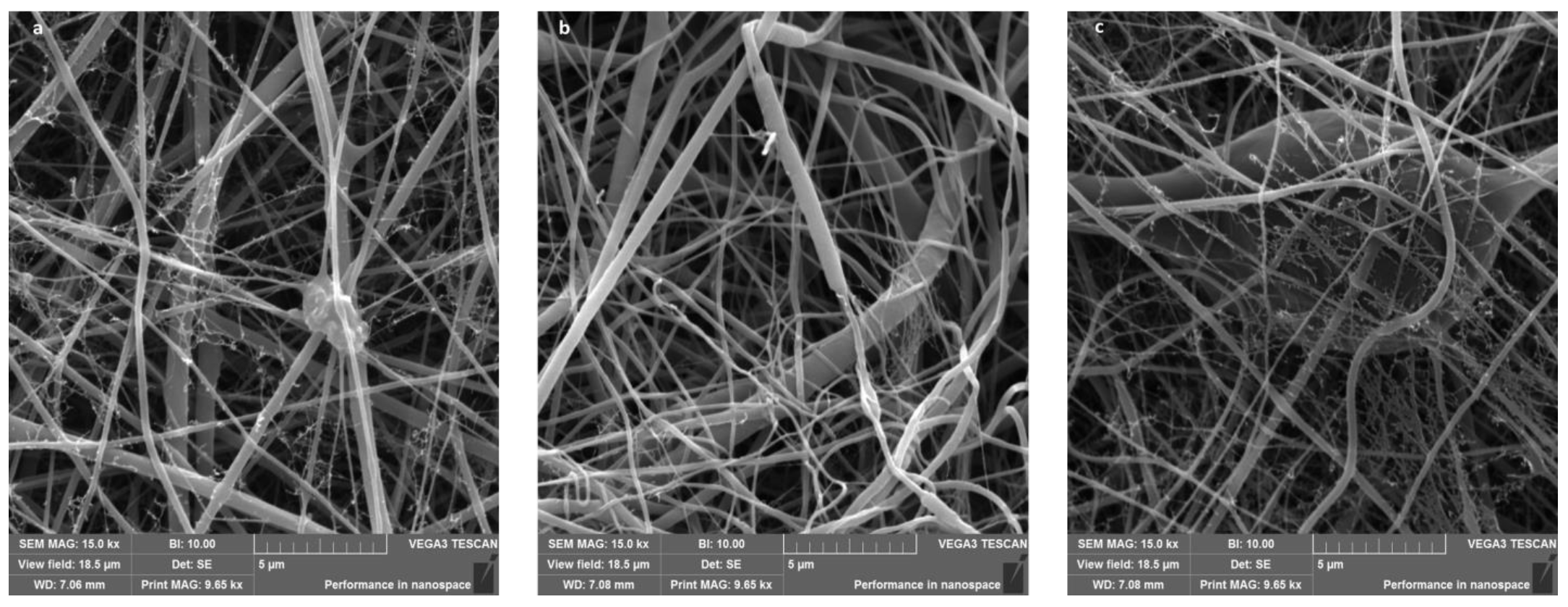 Plants 11 01577 g001