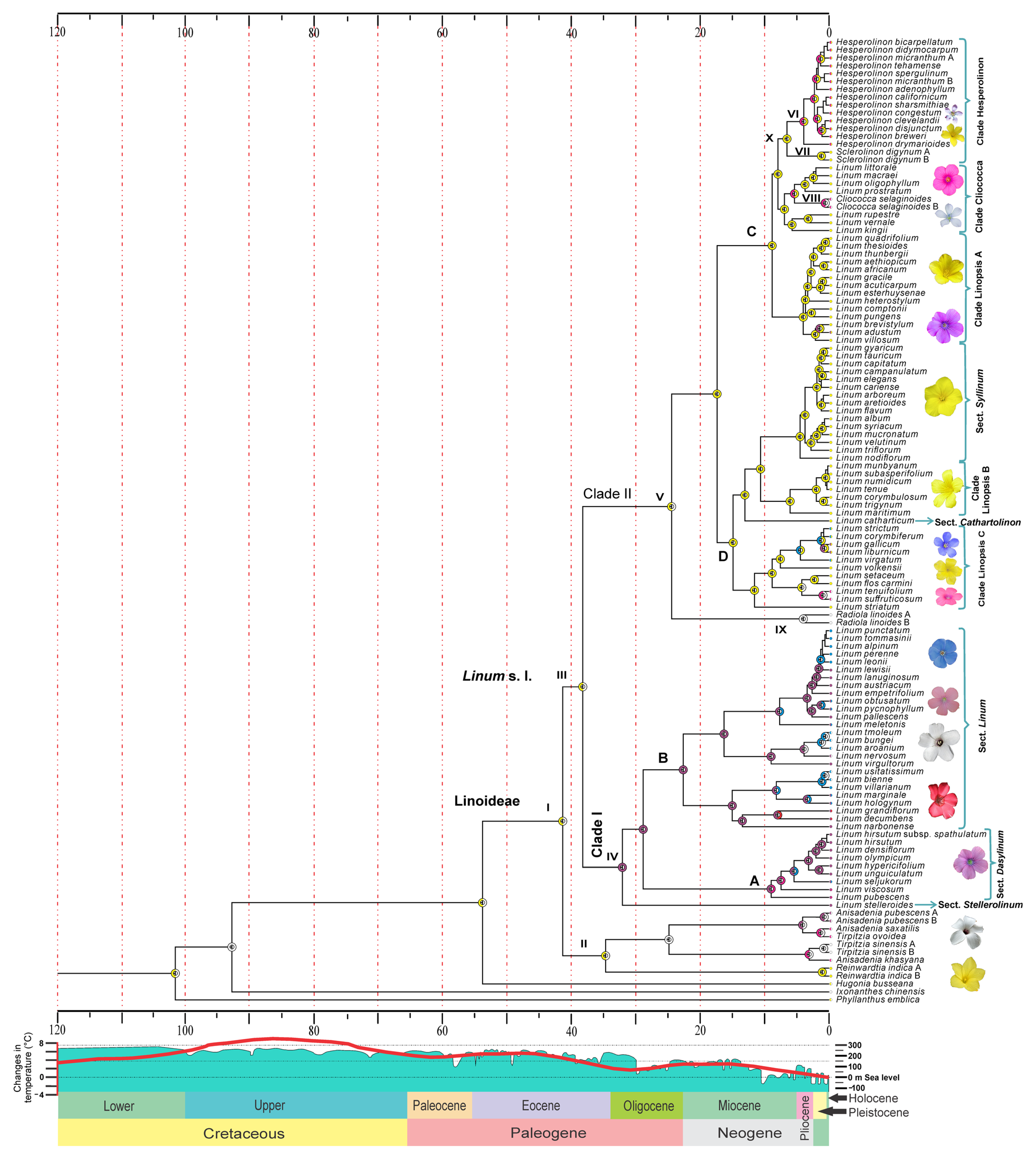 Plants 11 01579 g002