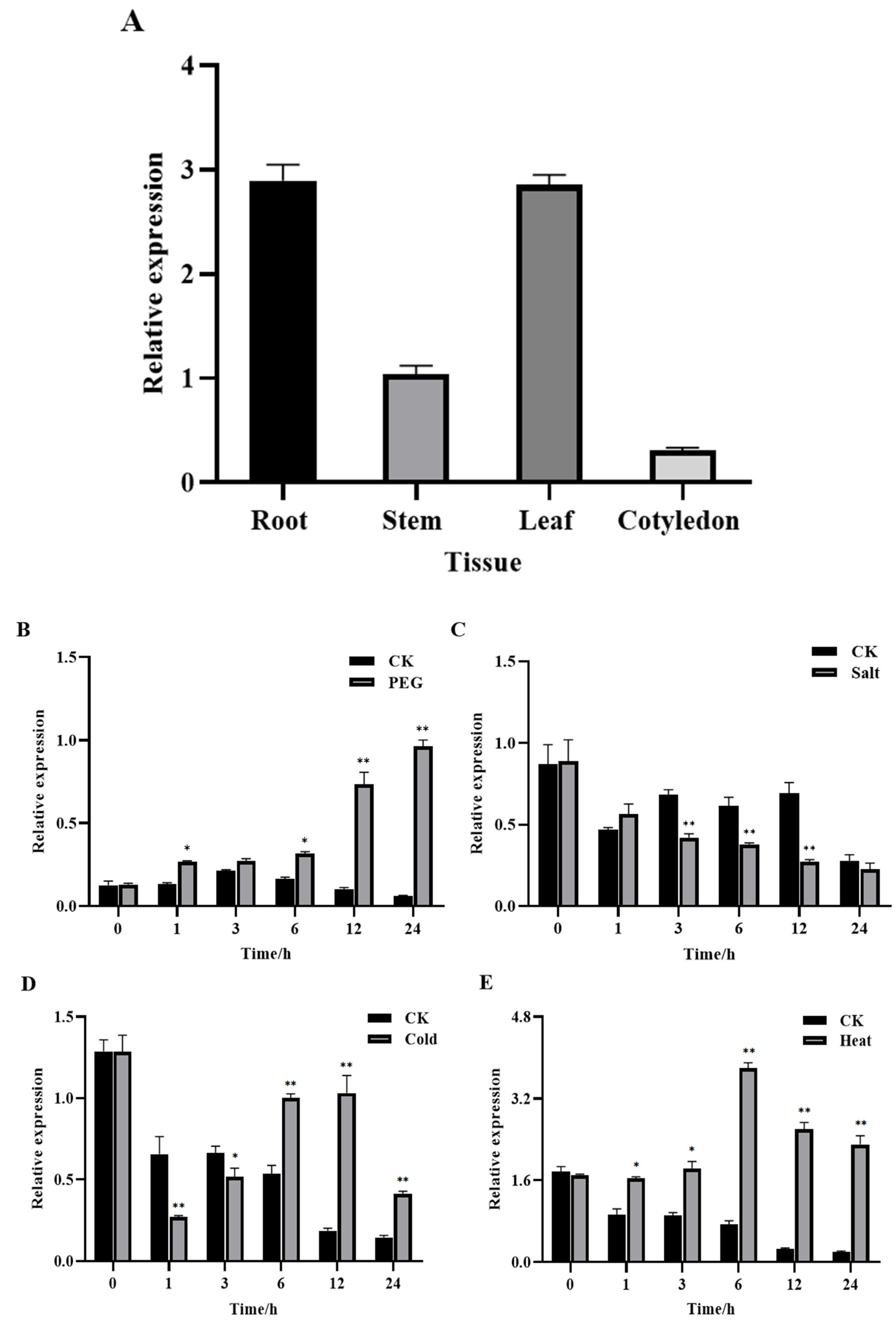Plants 11 01580 g003a Plants 11 01580 g003a