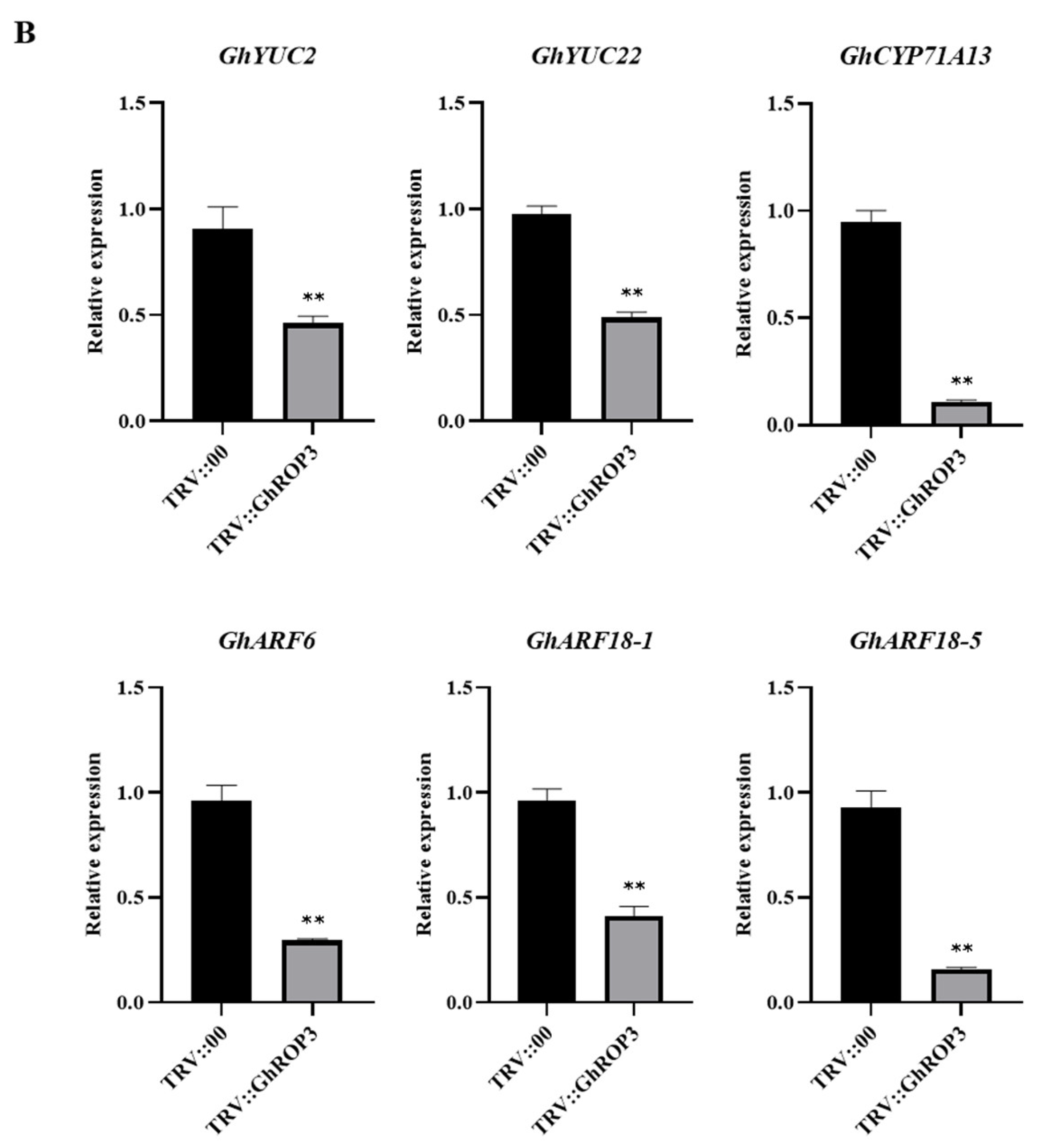 Plants 11 01580 g005b Plants 11 01580 g005b