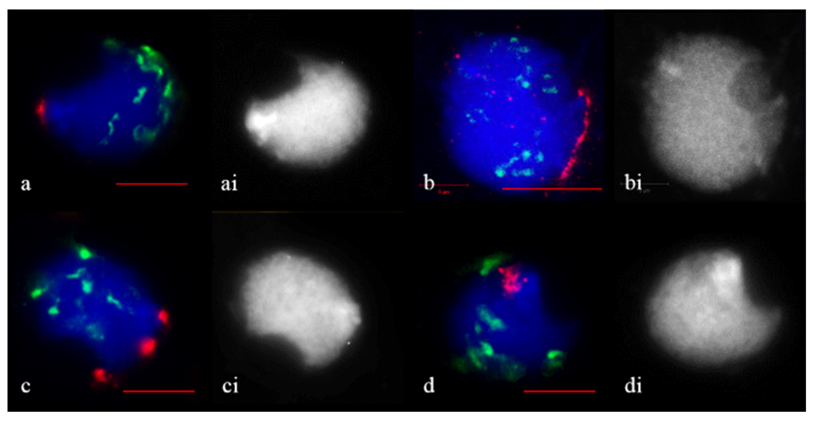 Plants 11 01582 g003