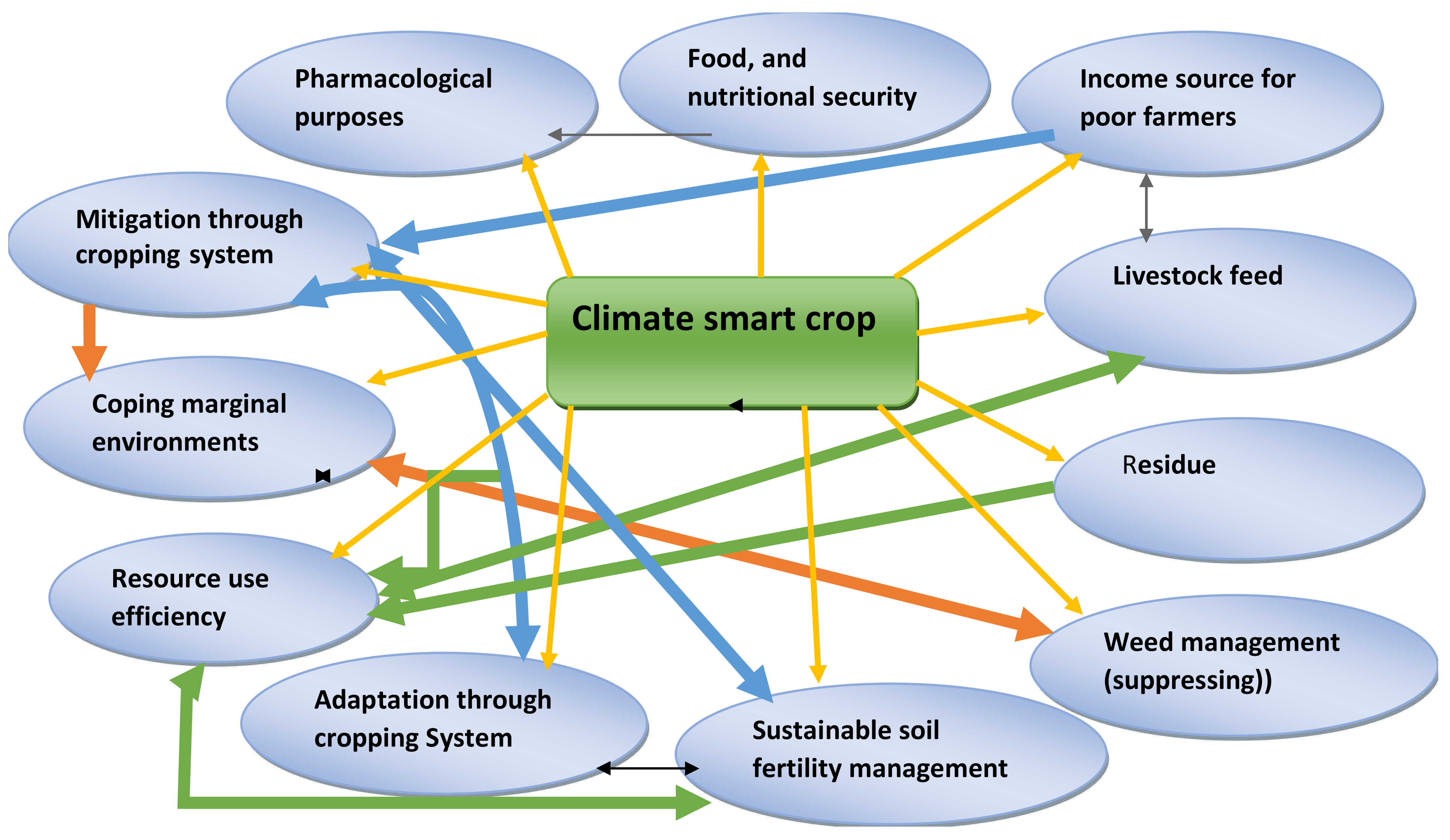 Plants 11 01583 g002