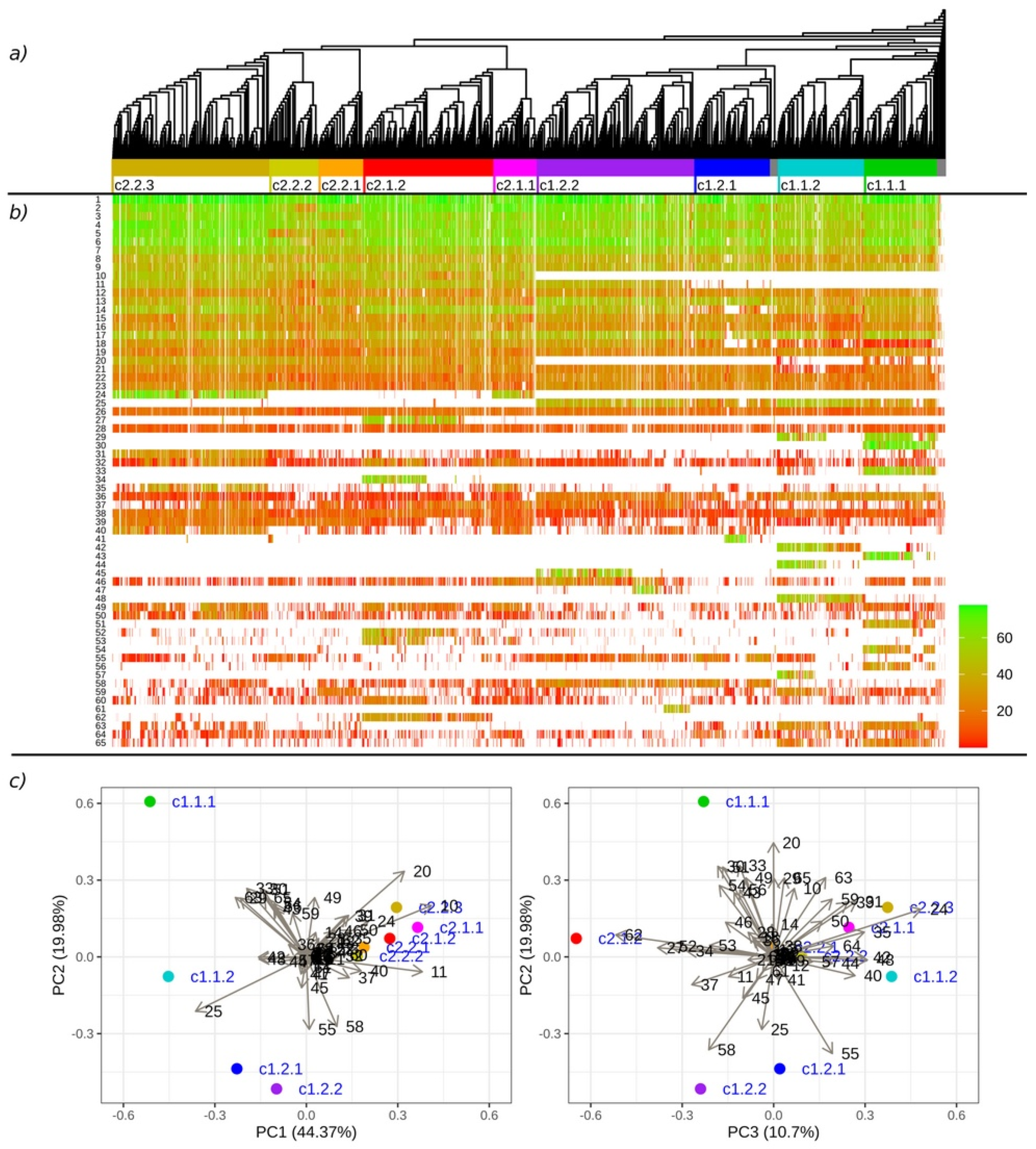 Plants 11 01588 g002