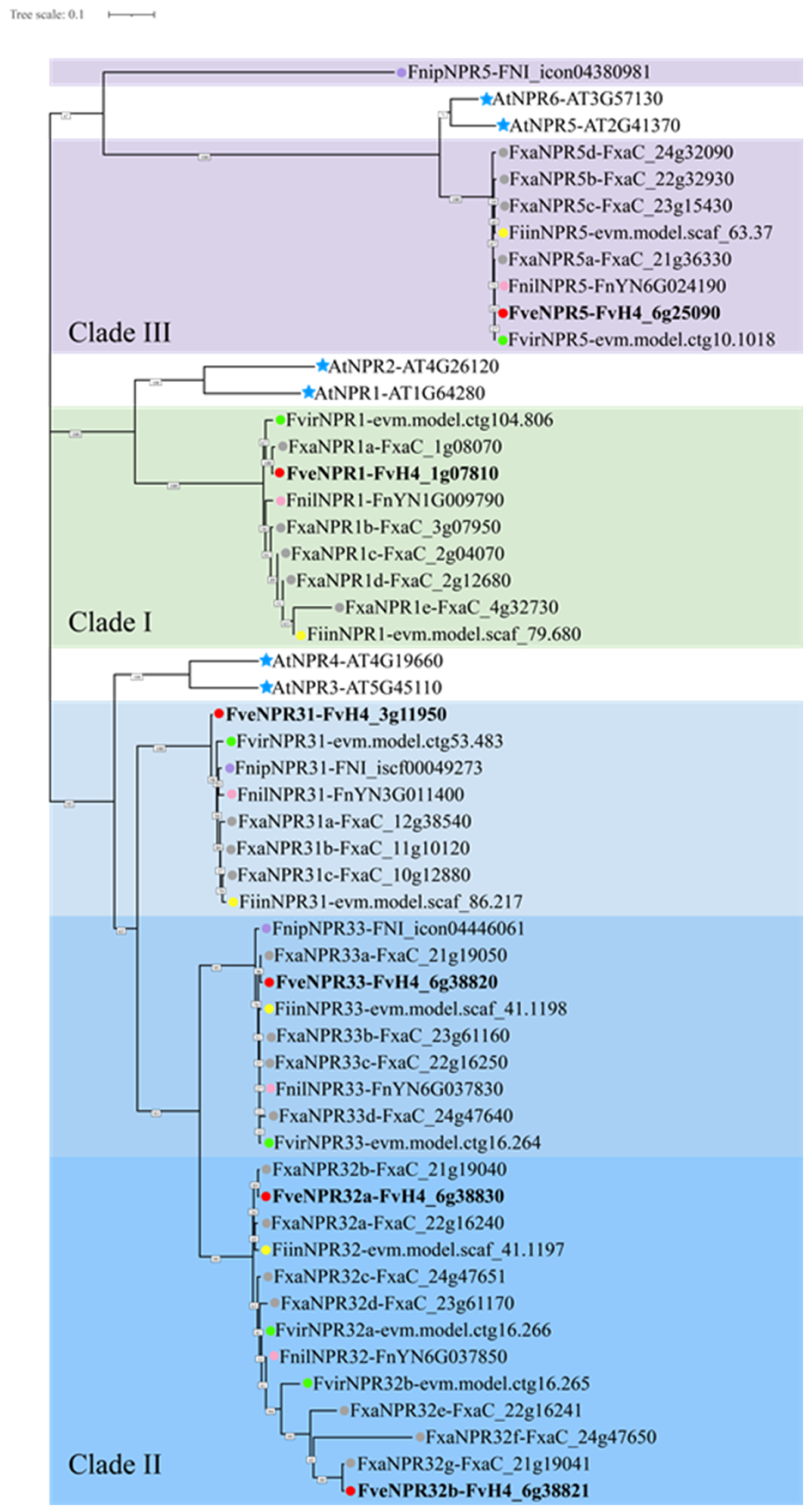 Plants 11 01589 g001