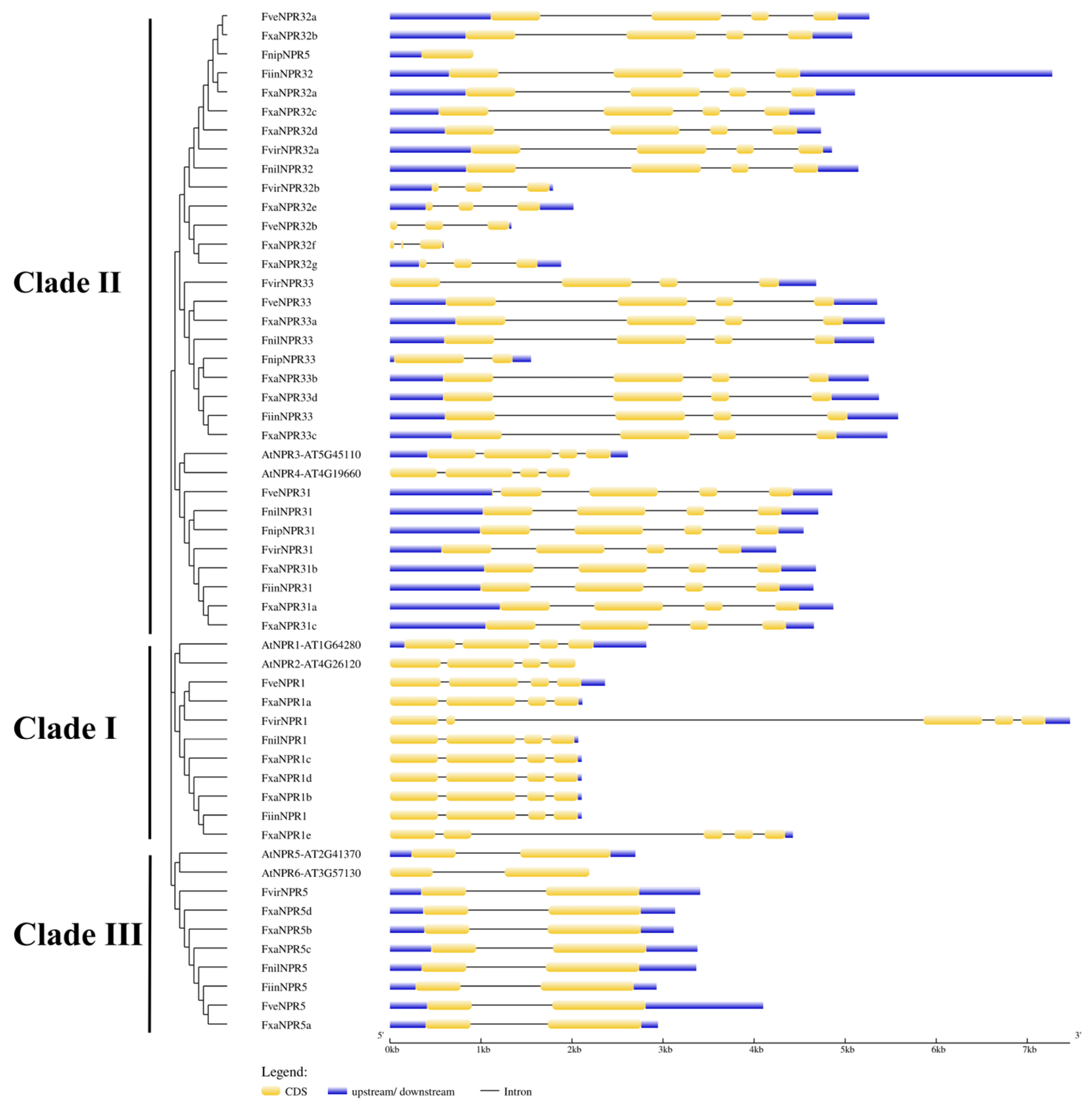 Plants 11 01589 g002