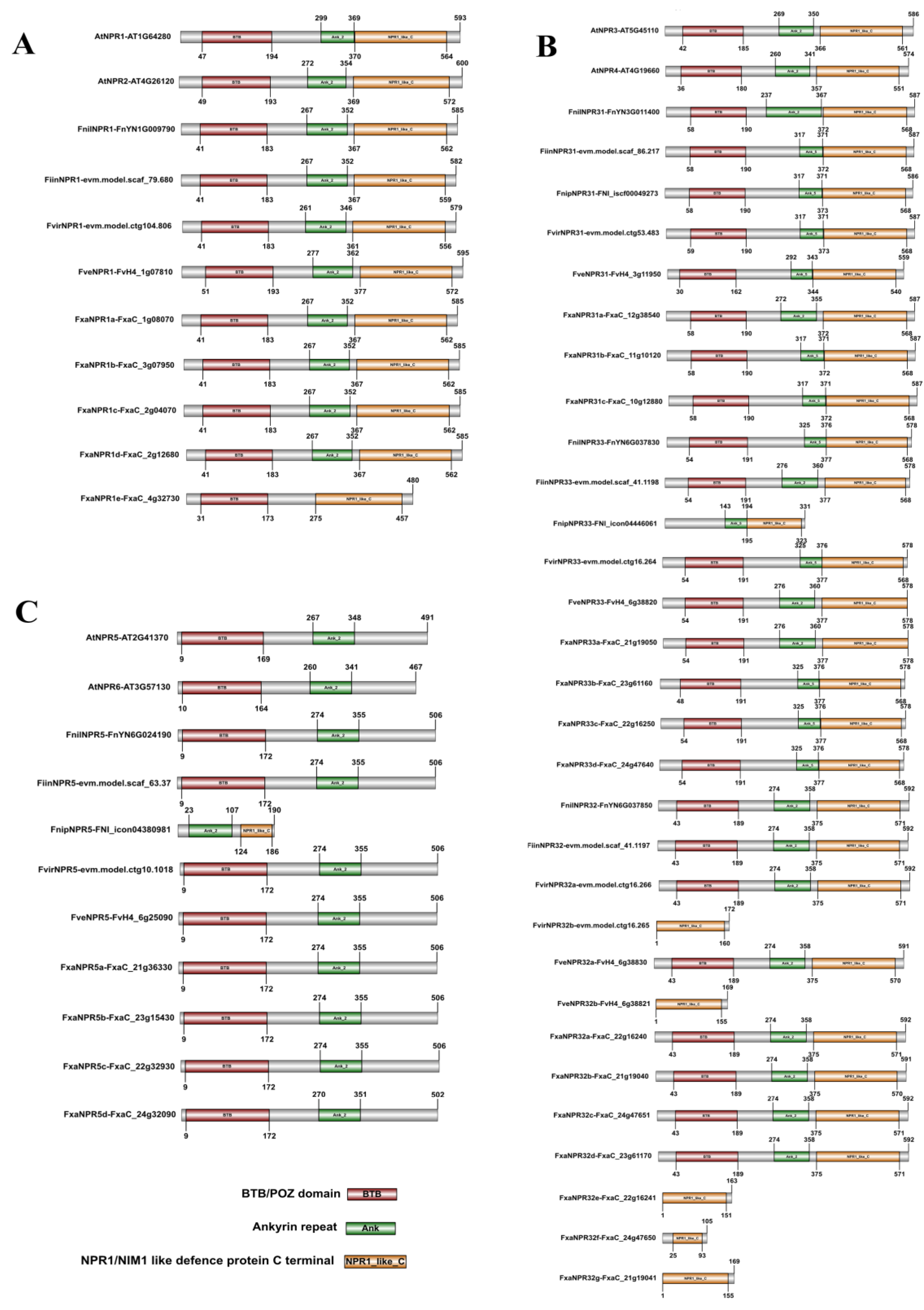 Plants 11 01589 g003