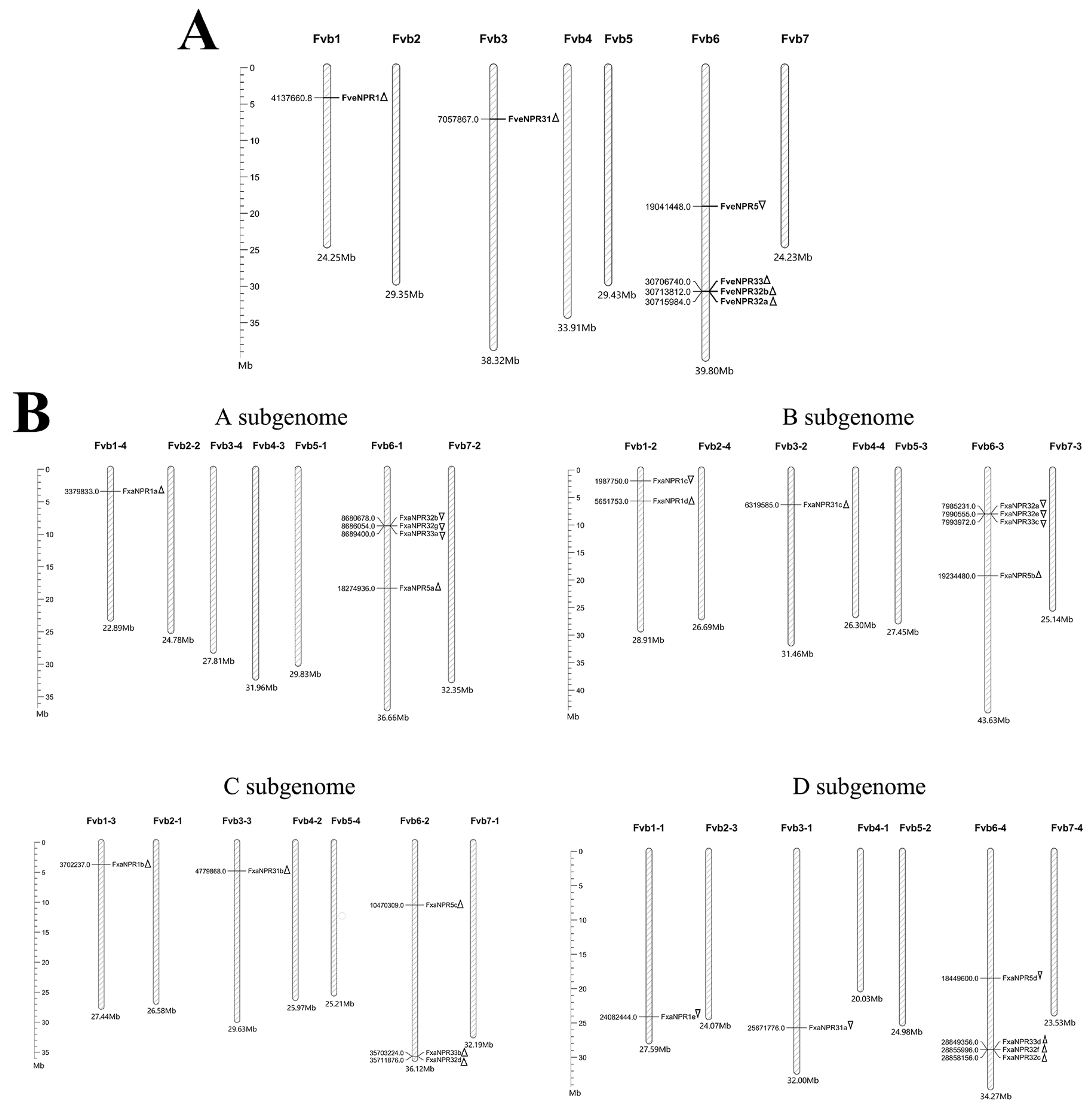 Plants 11 01589 g004