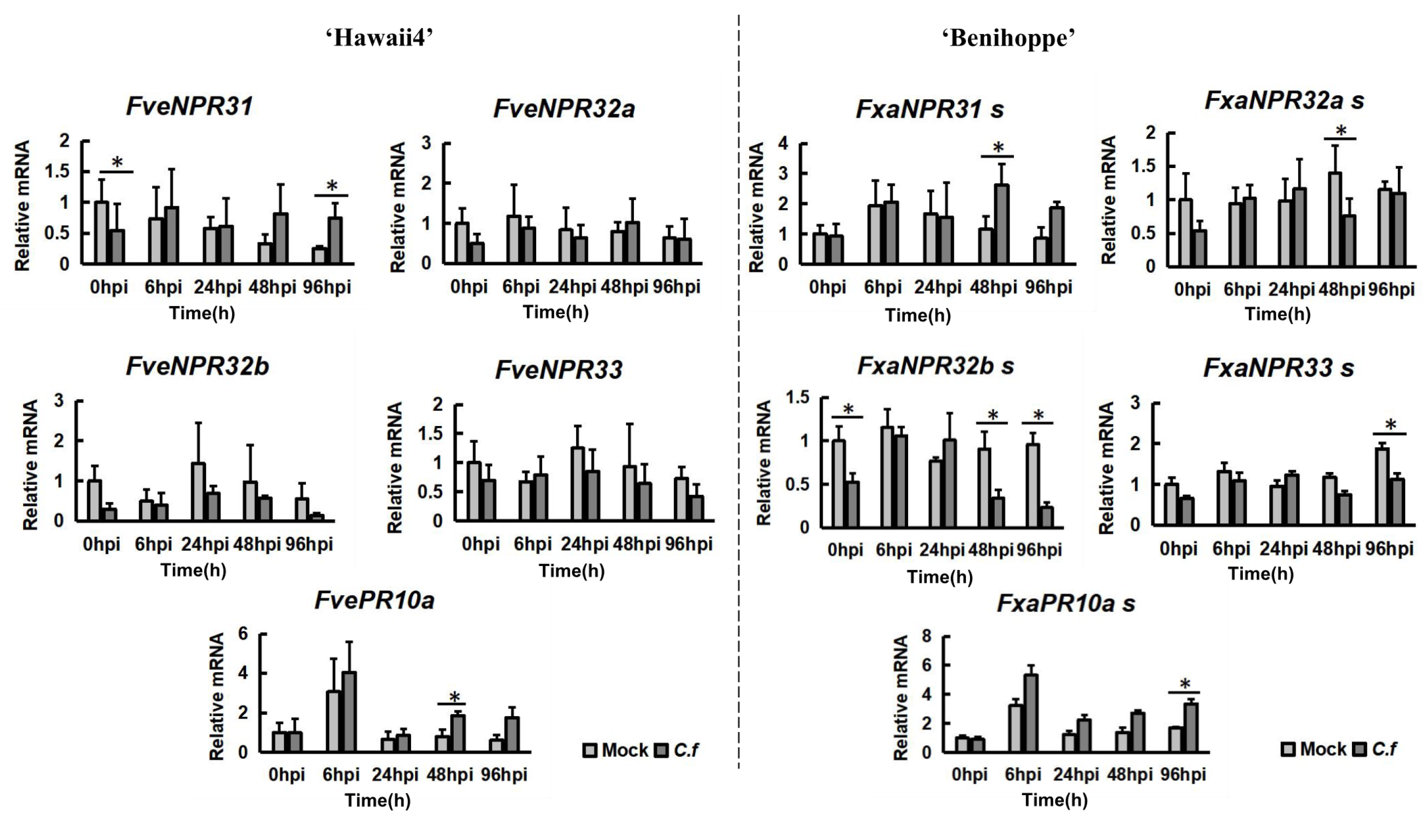 Plants 11 01589 g007