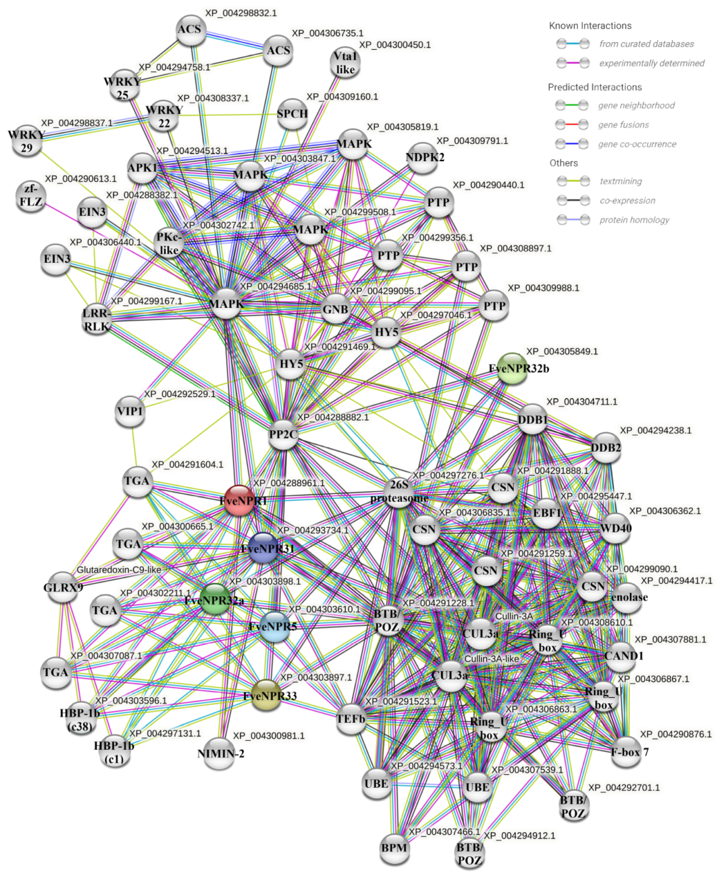 Plants 11 01589 g008