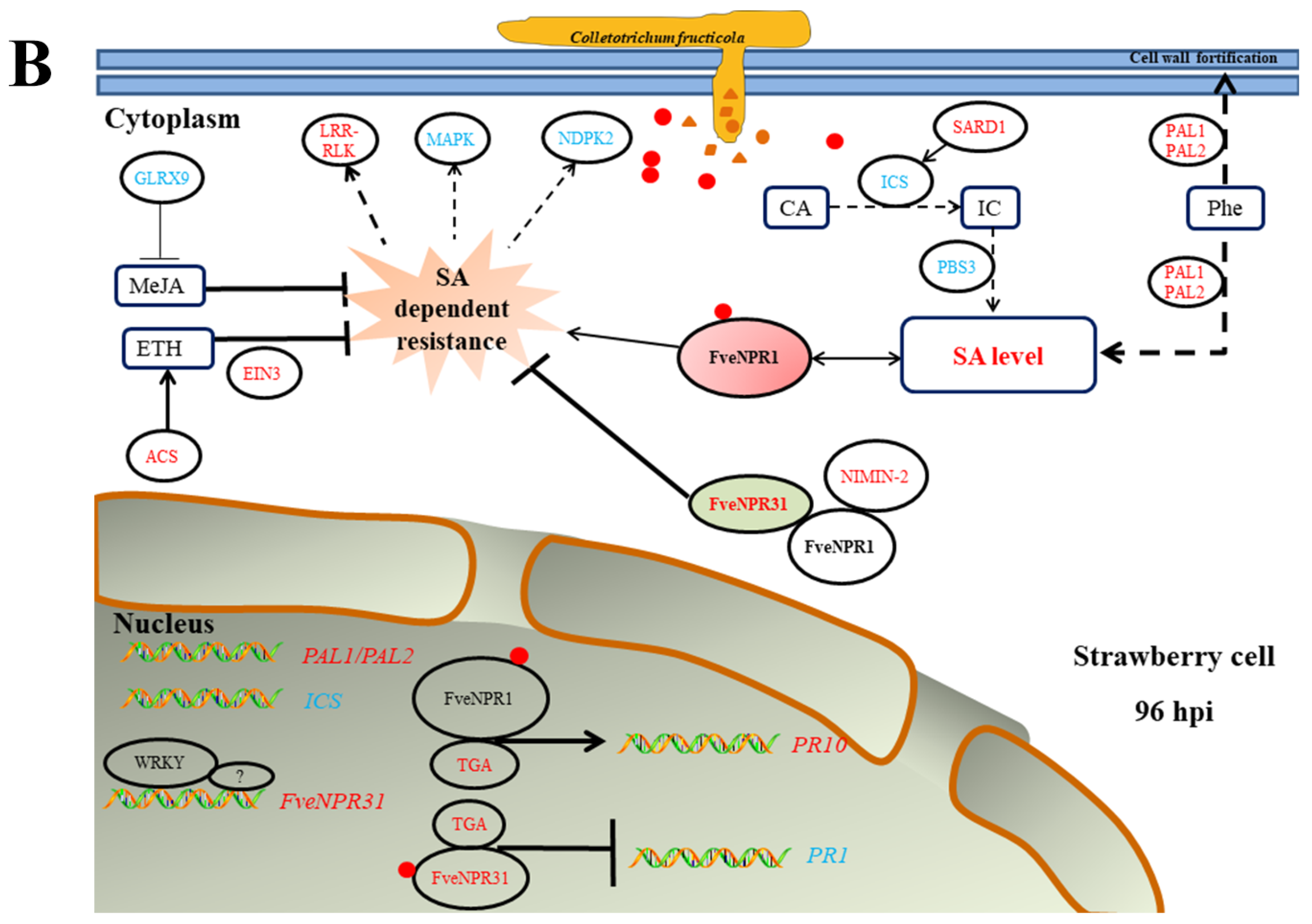 Plants 11 01589 g010b